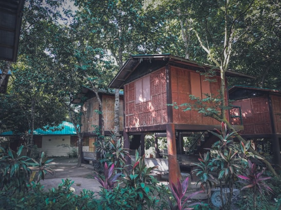Wooden huts elevated on stilts are nestled among lush green foliage and trees, creating a serene and natural environment. The structures have thatched walls and large windows, blending harmoniously with the surrounding greenery. Vibrant plants with red and green leaves are visible in the foreground.