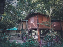 Wooden huts elevated on stilts are nestled among lush green foliage and trees, creating a serene and natural environment. The structures have thatched walls and large windows, blending harmoniously with the surrounding greenery. Vibrant plants with red and green leaves are visible in the foreground.