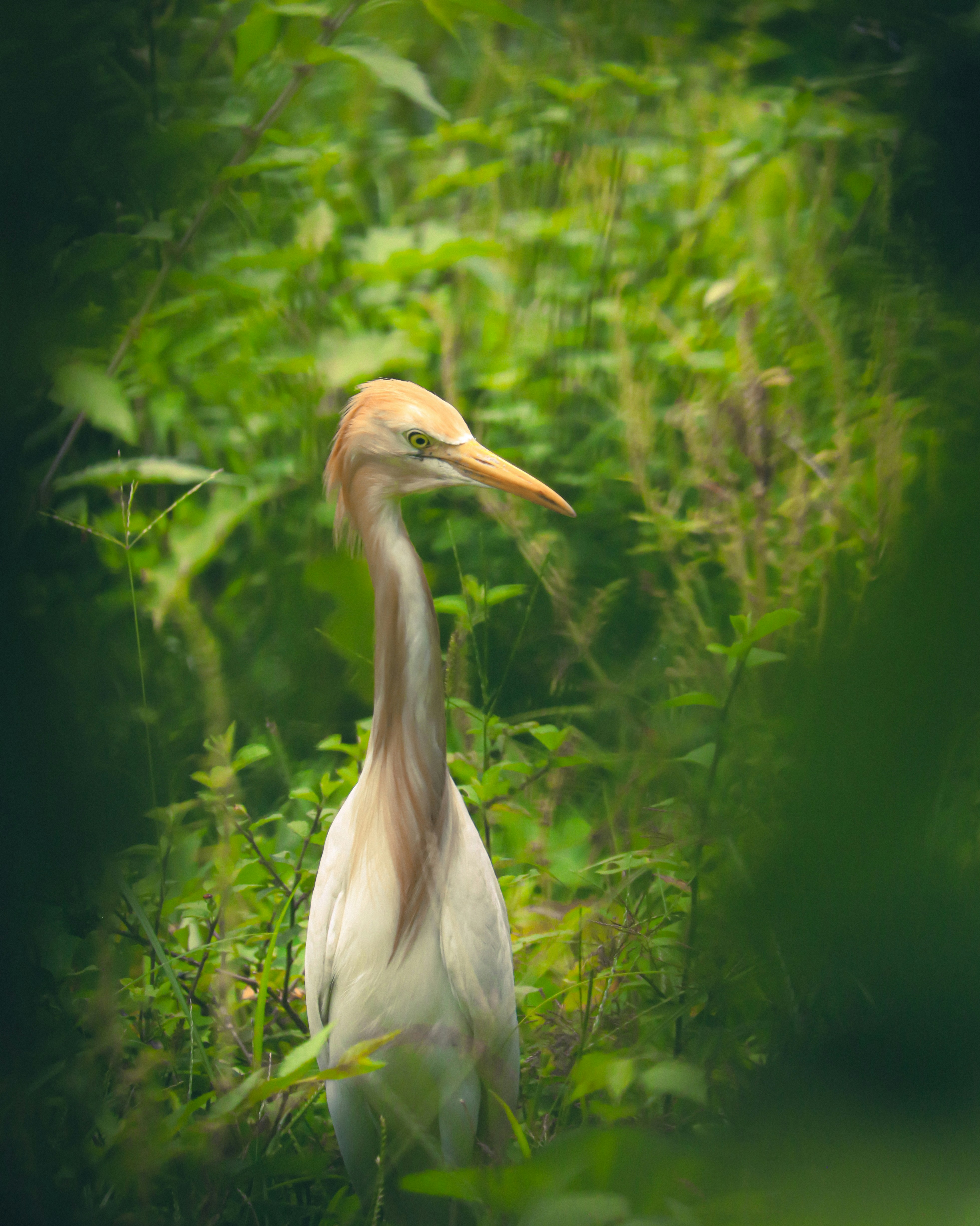 Photo by soonamwooeser