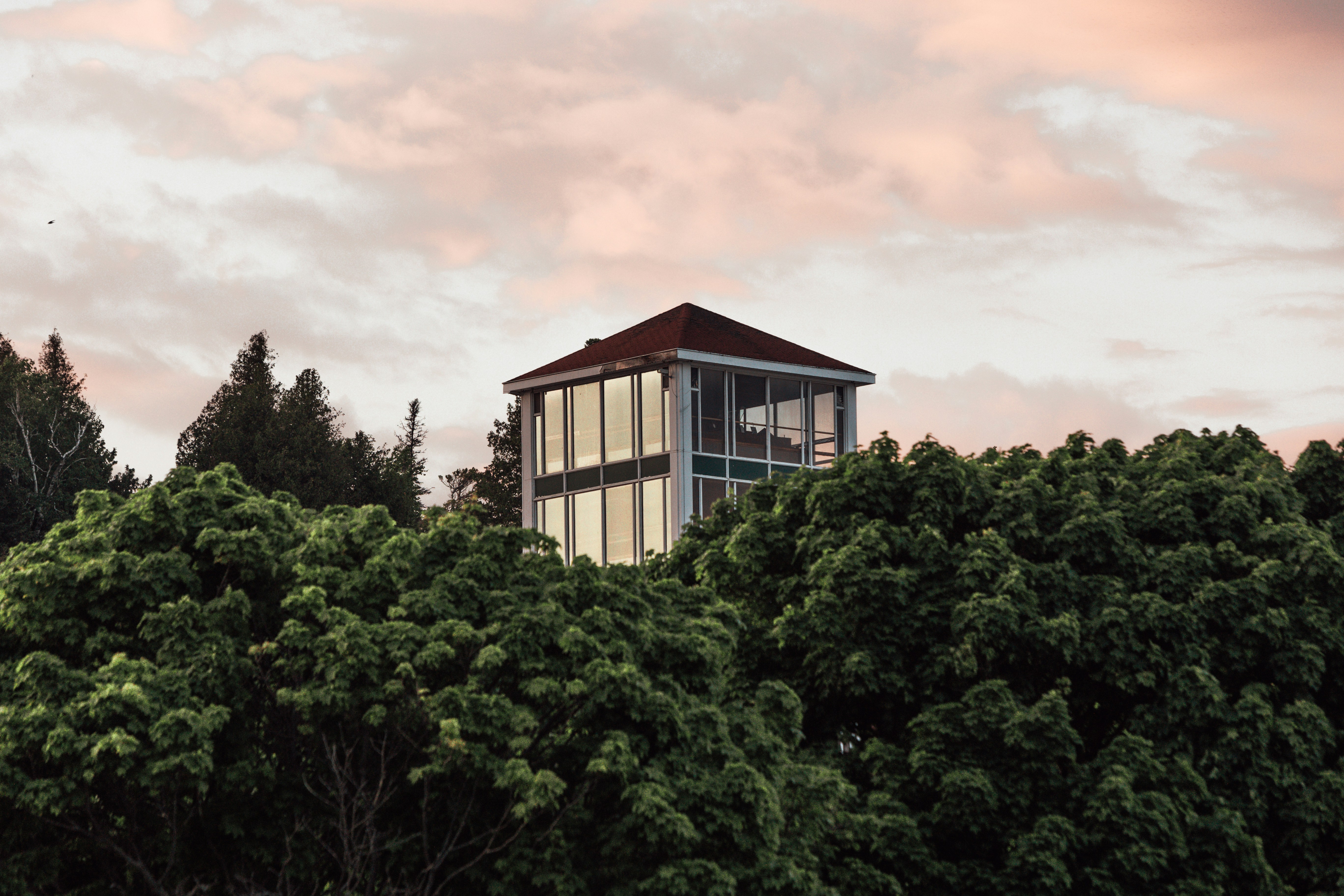 Photo by andrew_creative