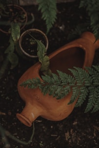 A rustic handmade clay pot with earthy tones, sitting on a wooden table surrounded by green plants.