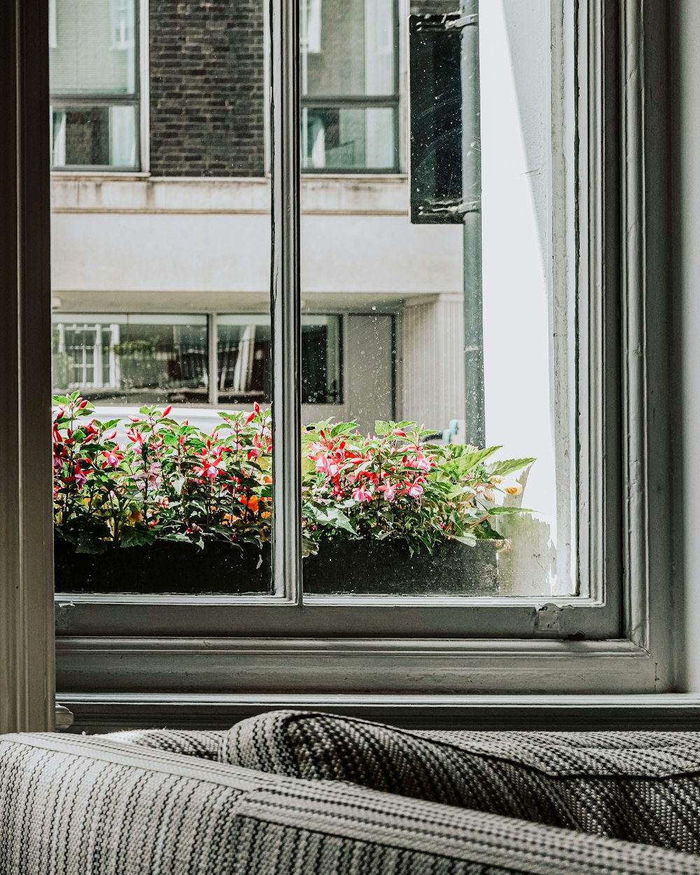 Foto Una ventana con una jardinera y una manta frente a ella – Imagen  Ventana gratis en Unsplash