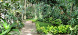 Peaceful garden path leading to the villa, framed by tropical plants.