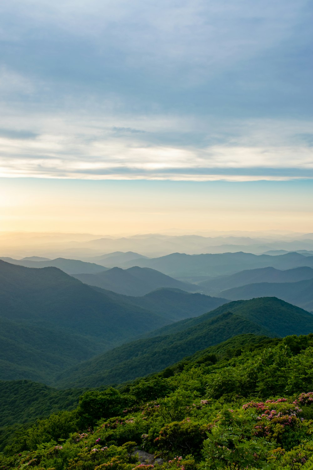 a landscape with hills and trees