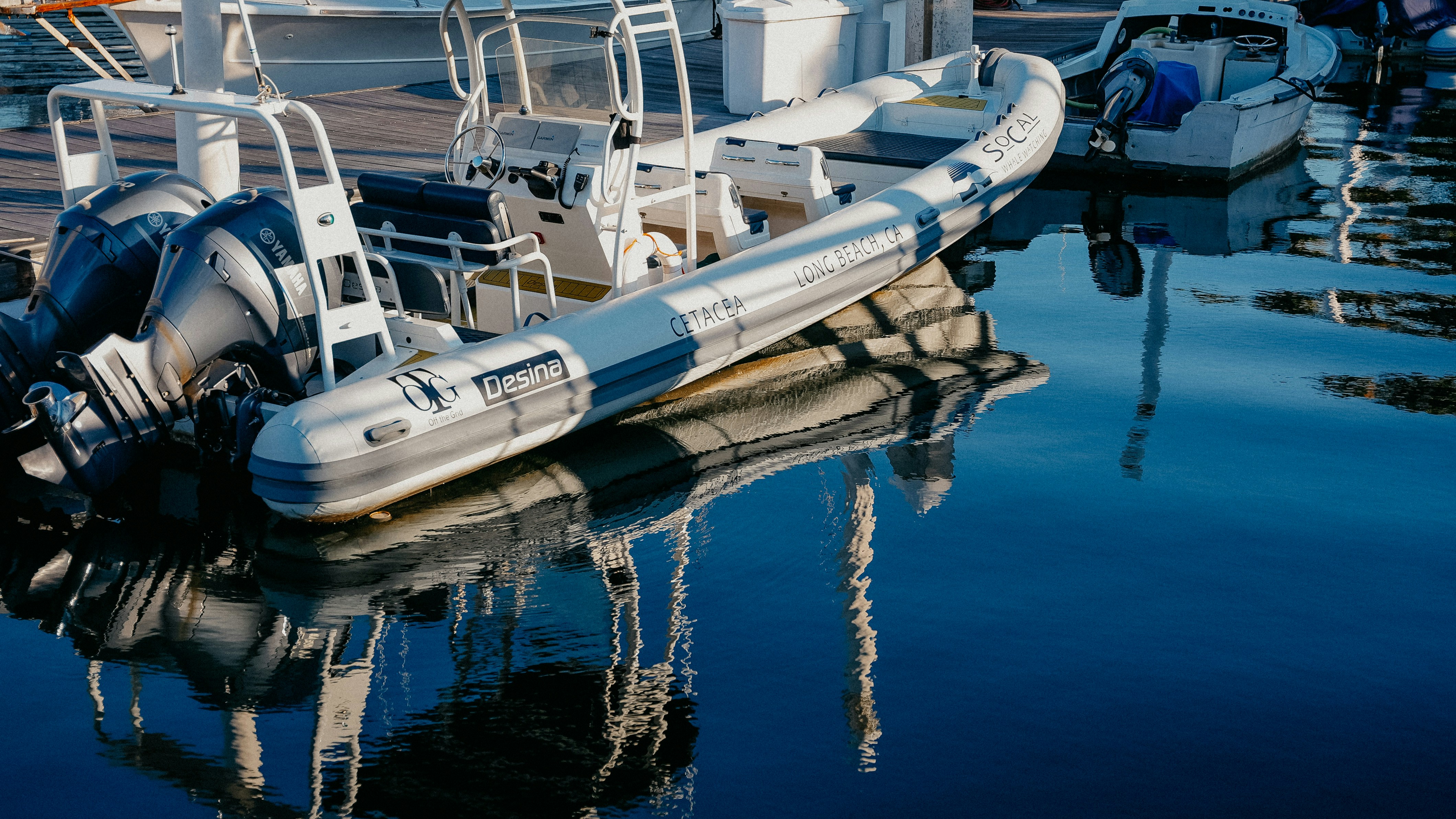 Photo by director_homie