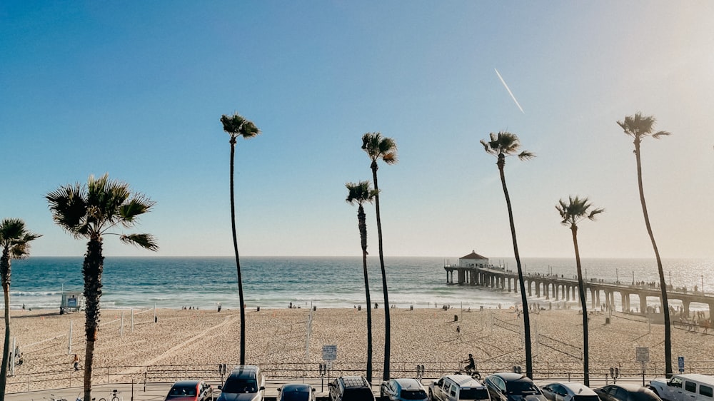 a beach with palm trees and a body of water in the background