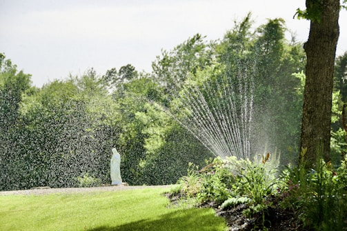 a statue in a garden