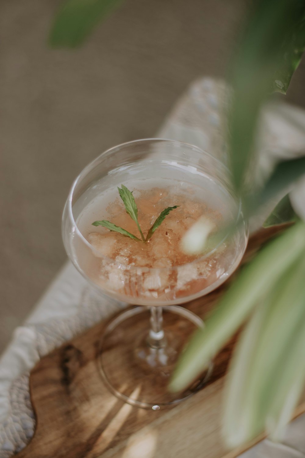 a glass of liquid with a plant in the background