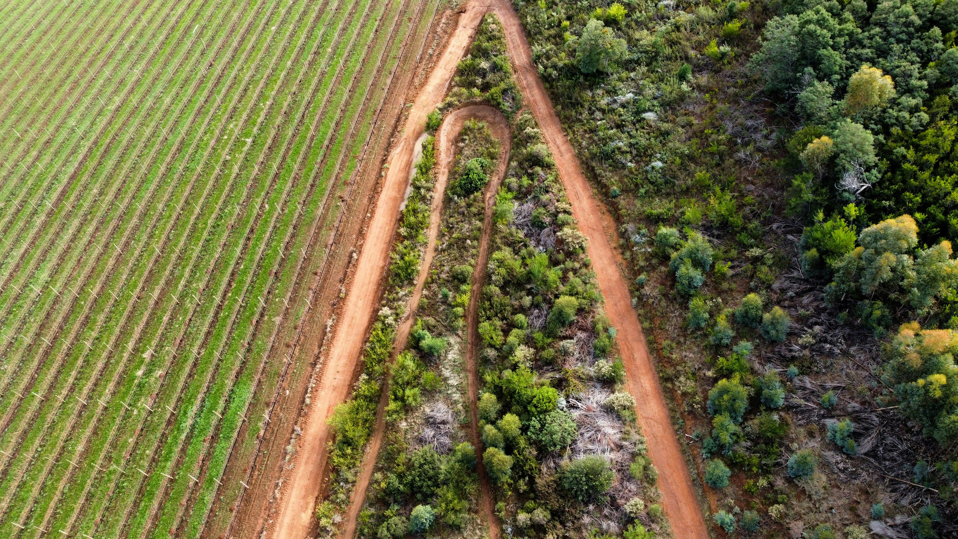 GROUNDUP: Vision Investments blames government for Tongaat Hulett liquidation crisis