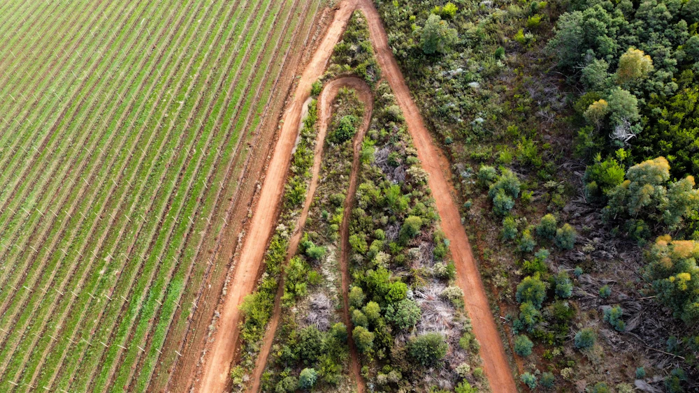 Agricultural Mechanization