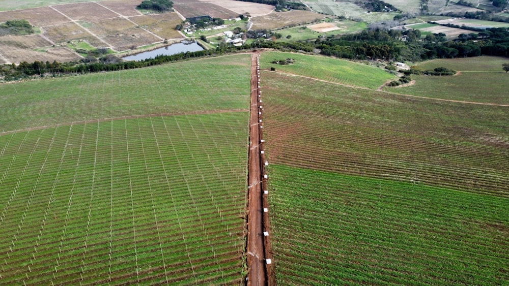 Un campo de hierba verde