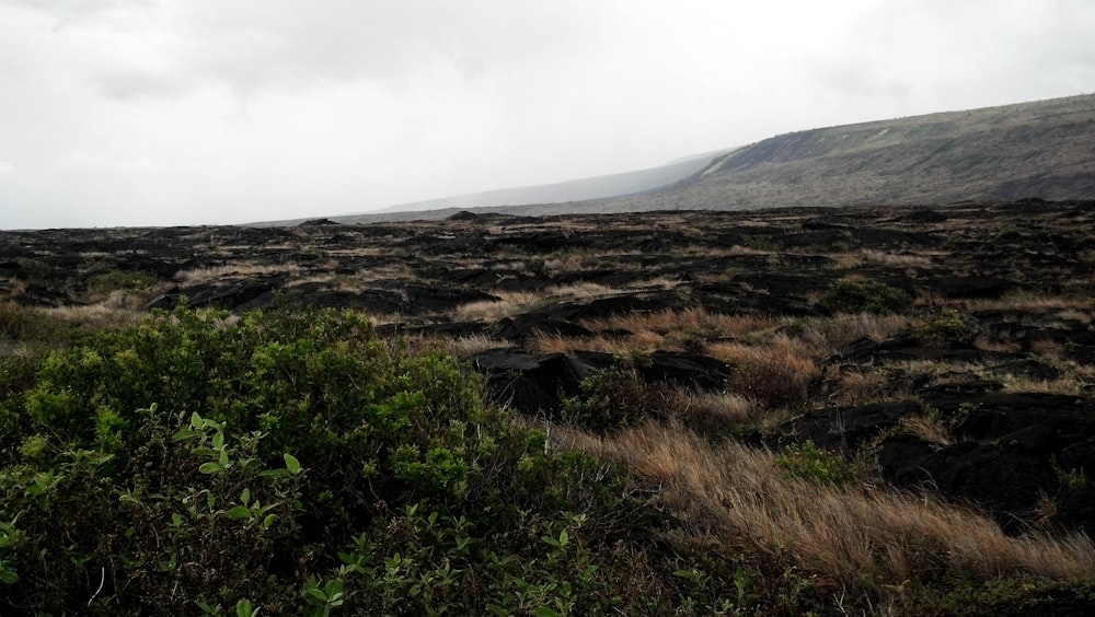 a grassy area with hills in the background