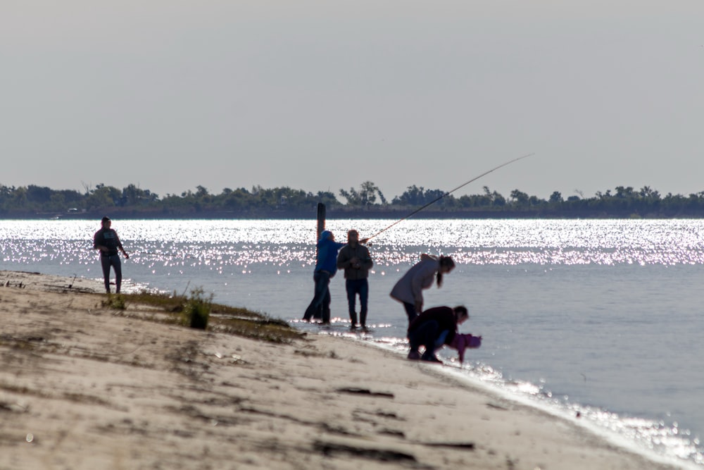 a group of people fishing on a beach
