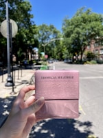 A delivery box being handed over at a doorstep in a sunny neighborhood.