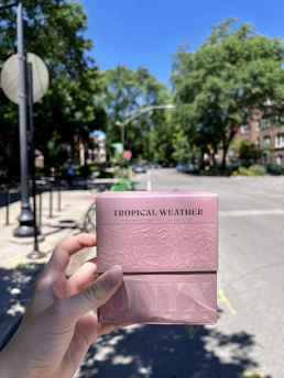 A delivery box being handed over at a customer's doorstep on a sunny day.