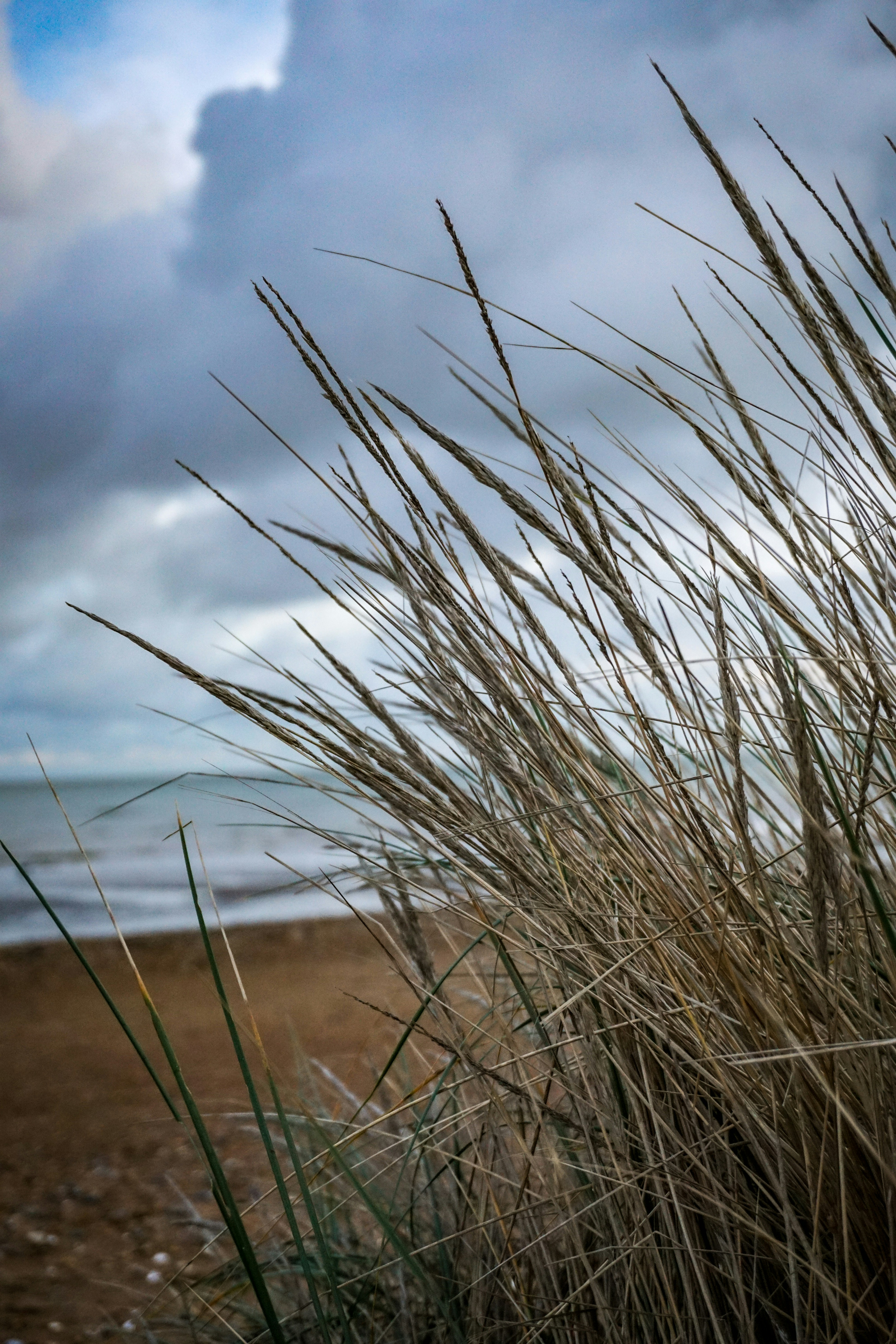 Photo by photography_person