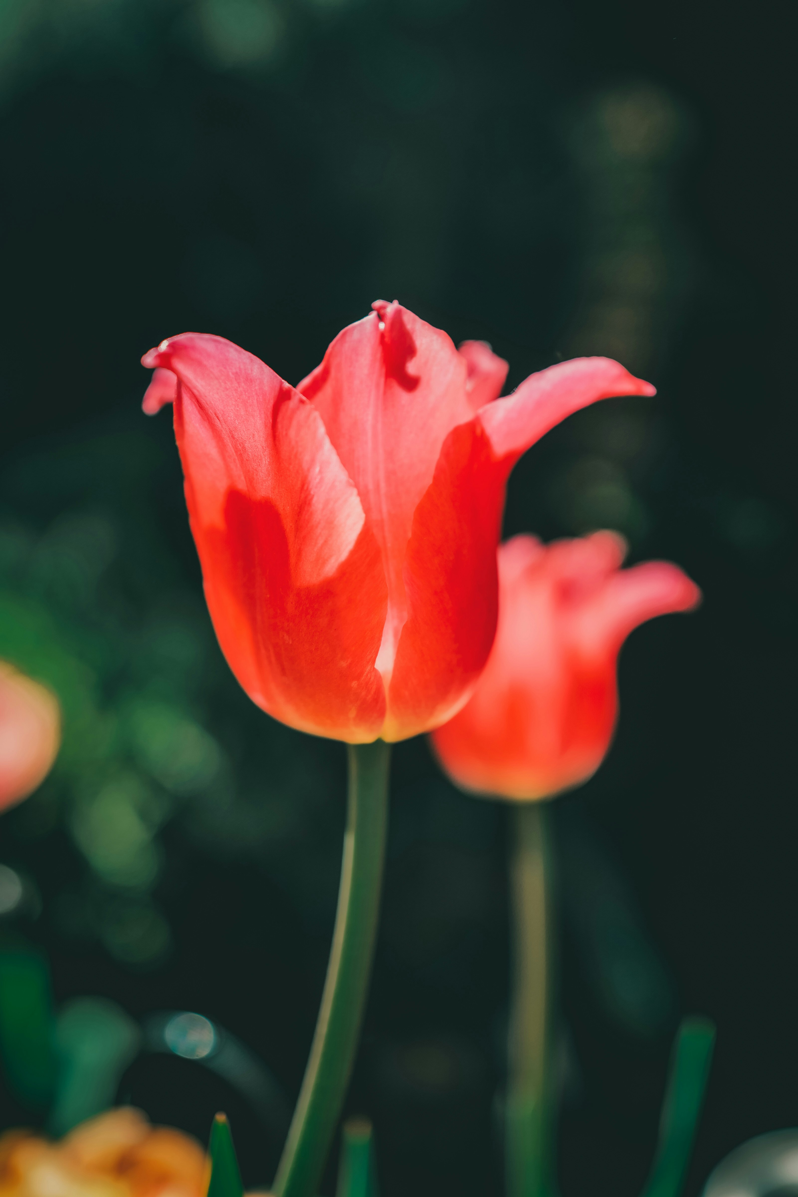 Photo by raimondklavins