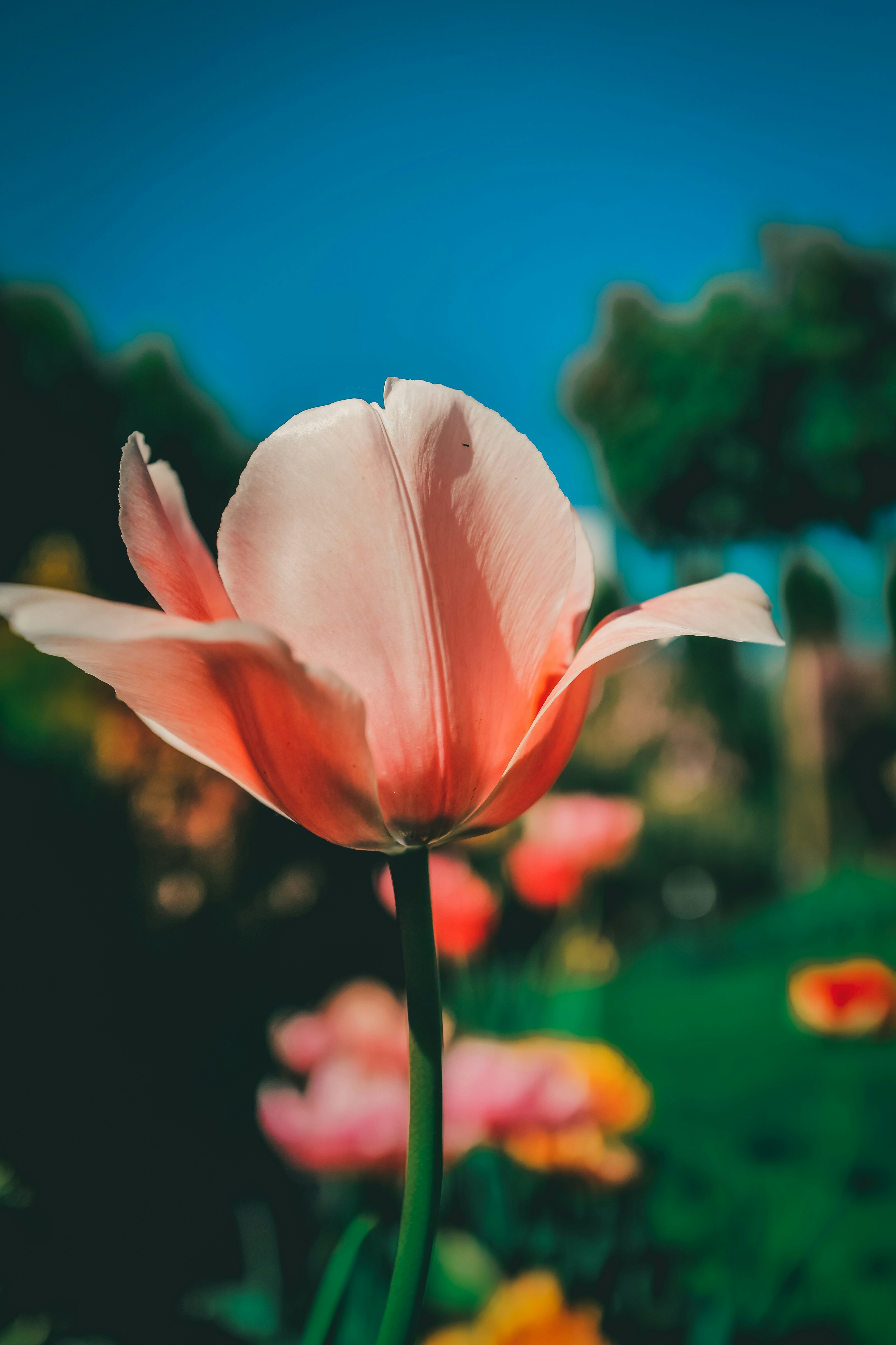 Photo by raimondklavins