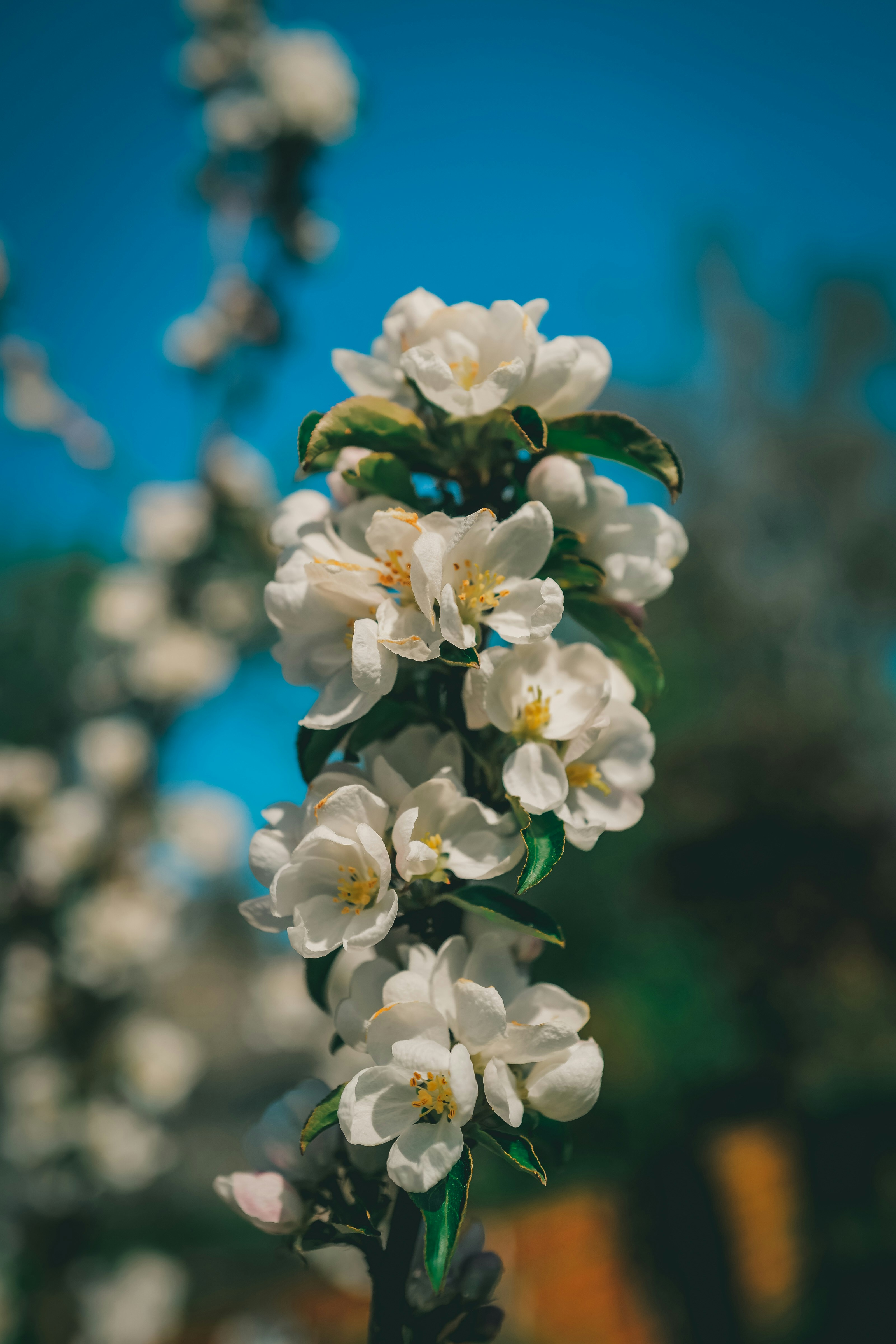 Photo by raimondklavins