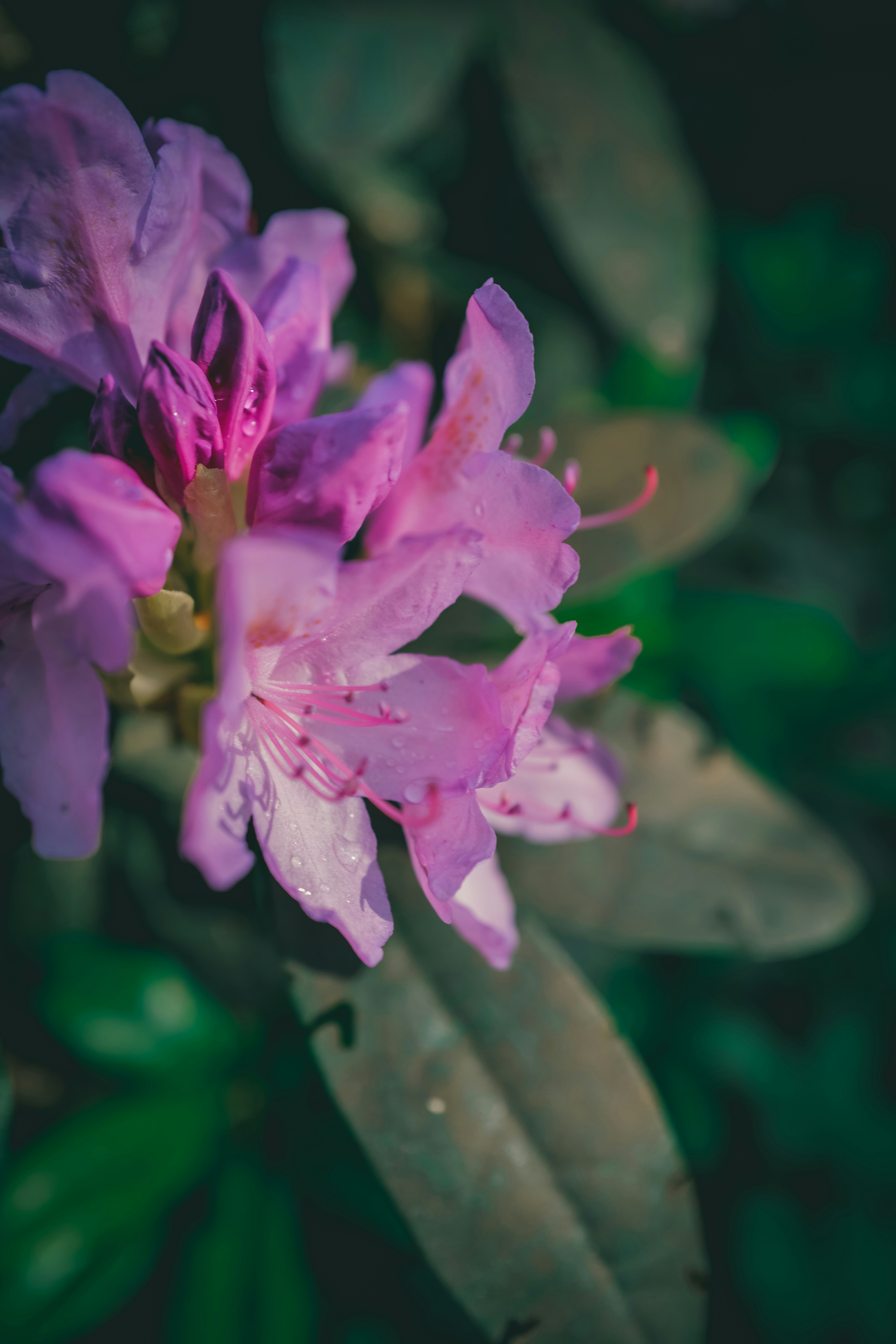 Photo by raimondklavins