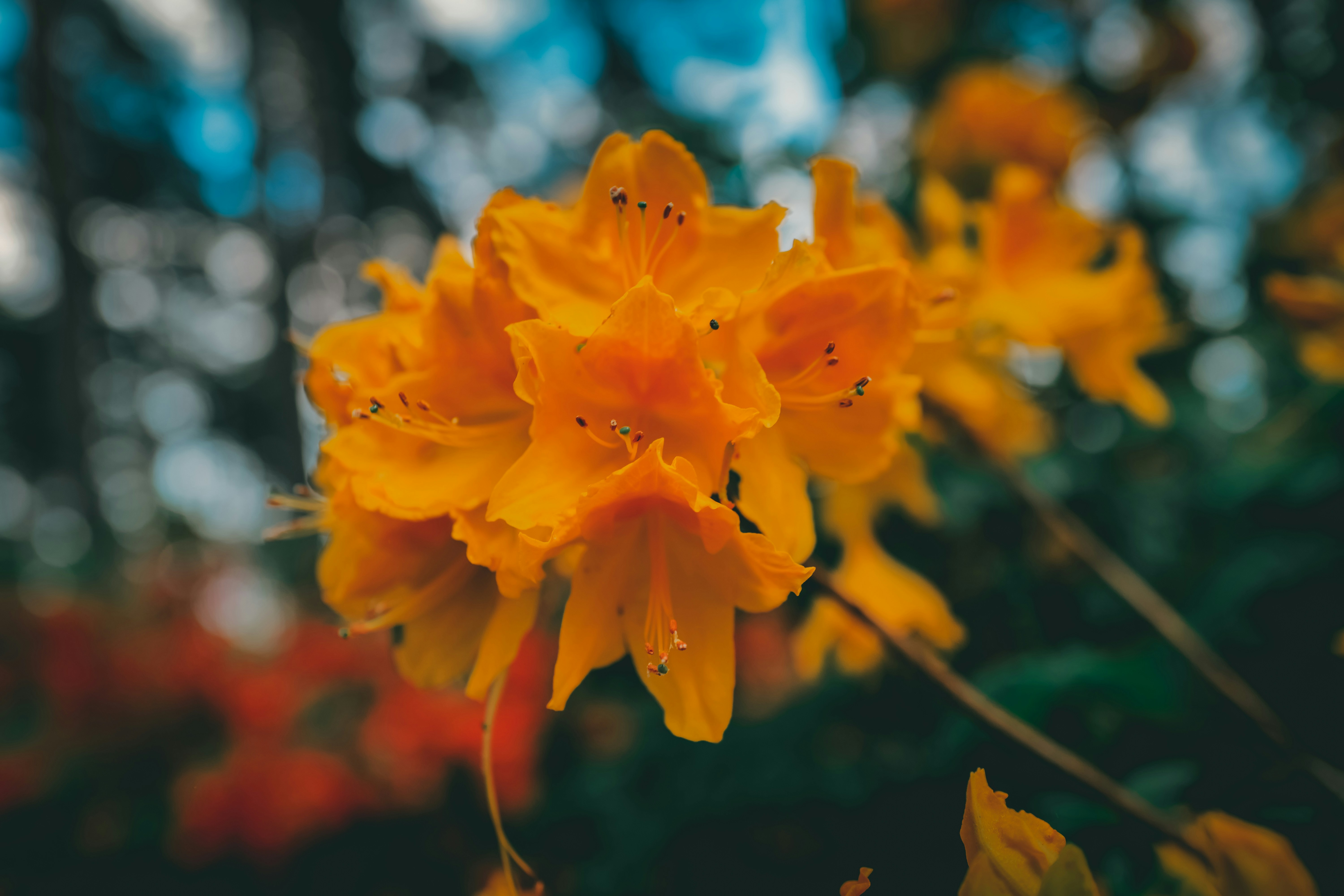 Photo by raimondklavins