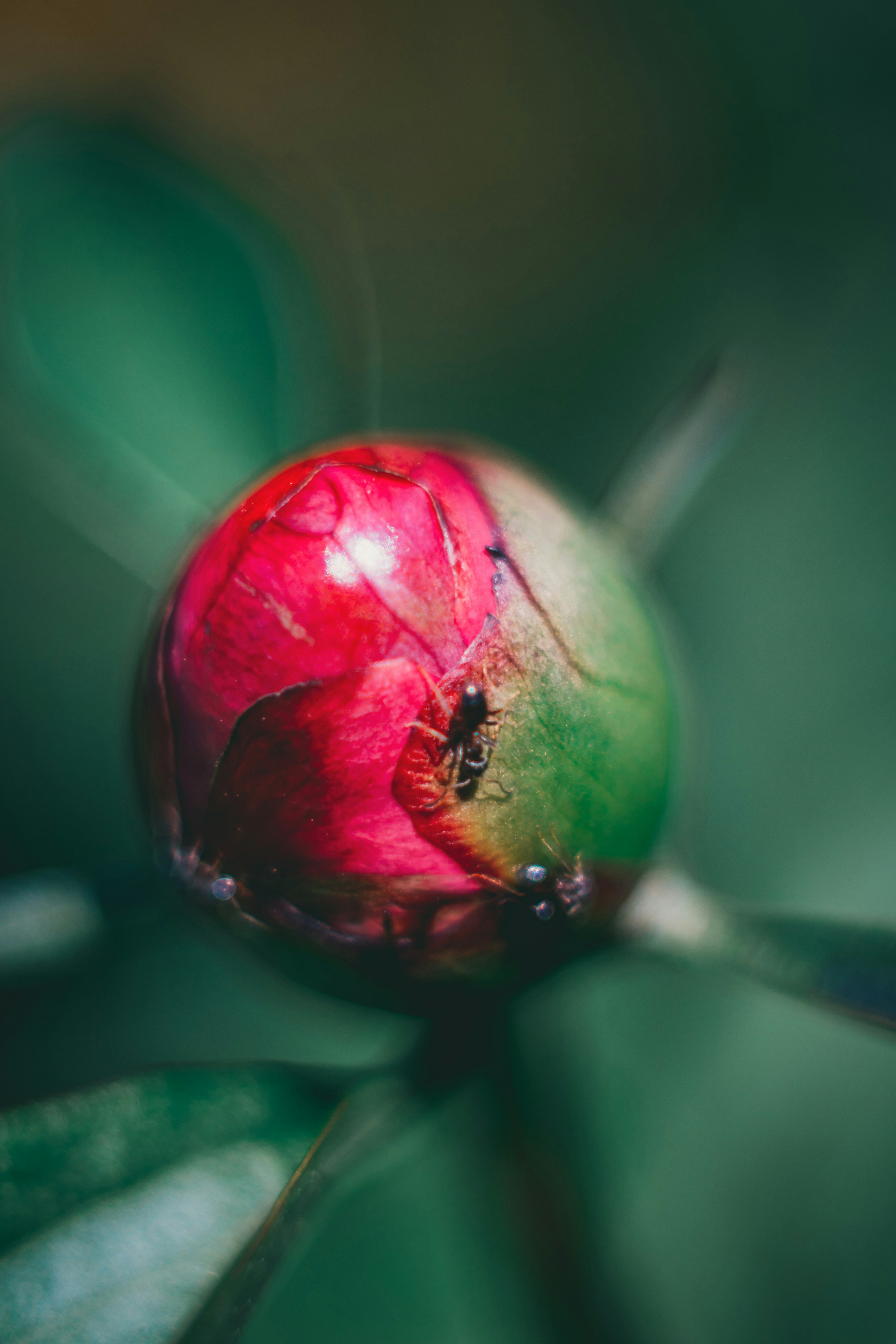 Photo by raimondklavins