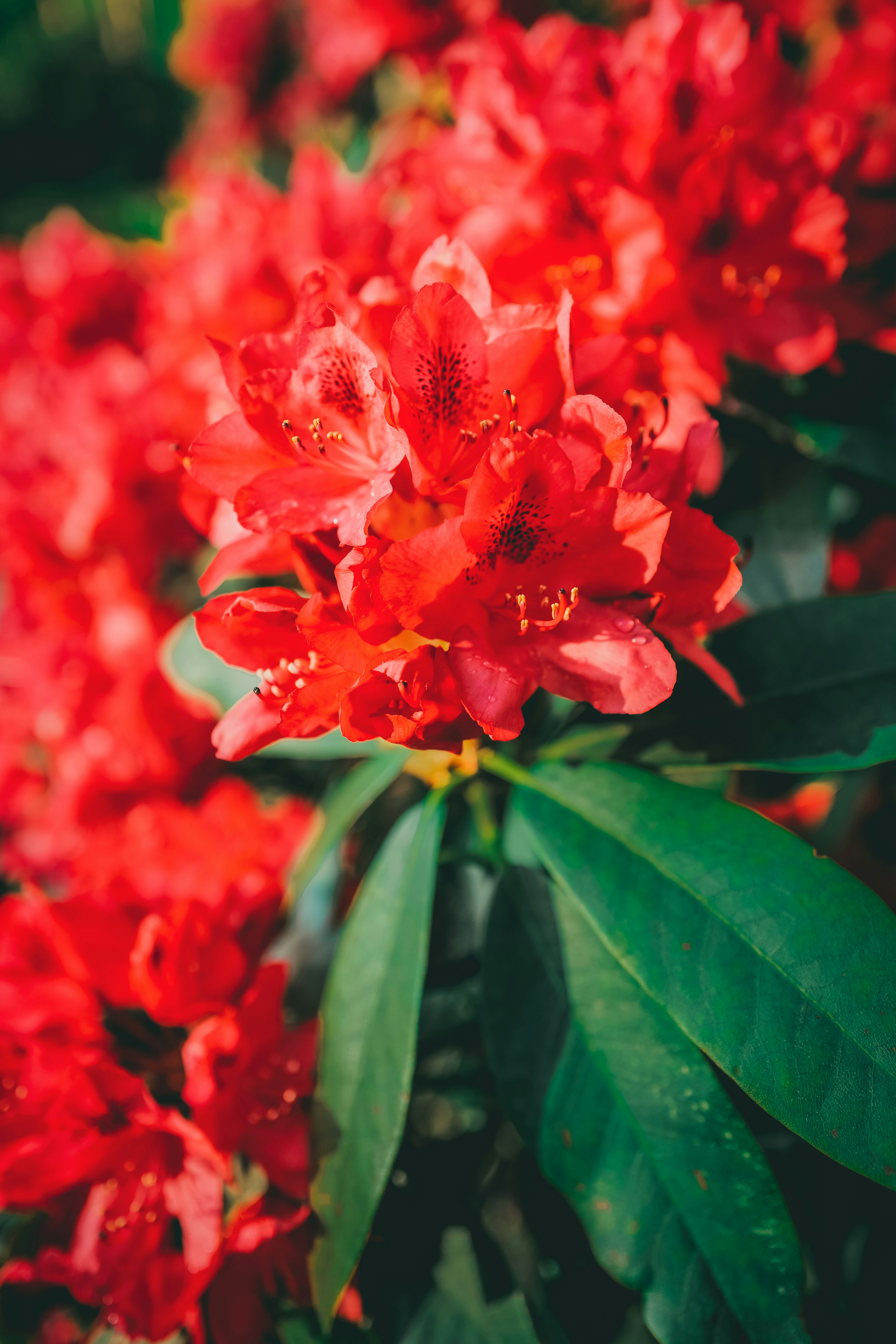 Photo by raimondklavins