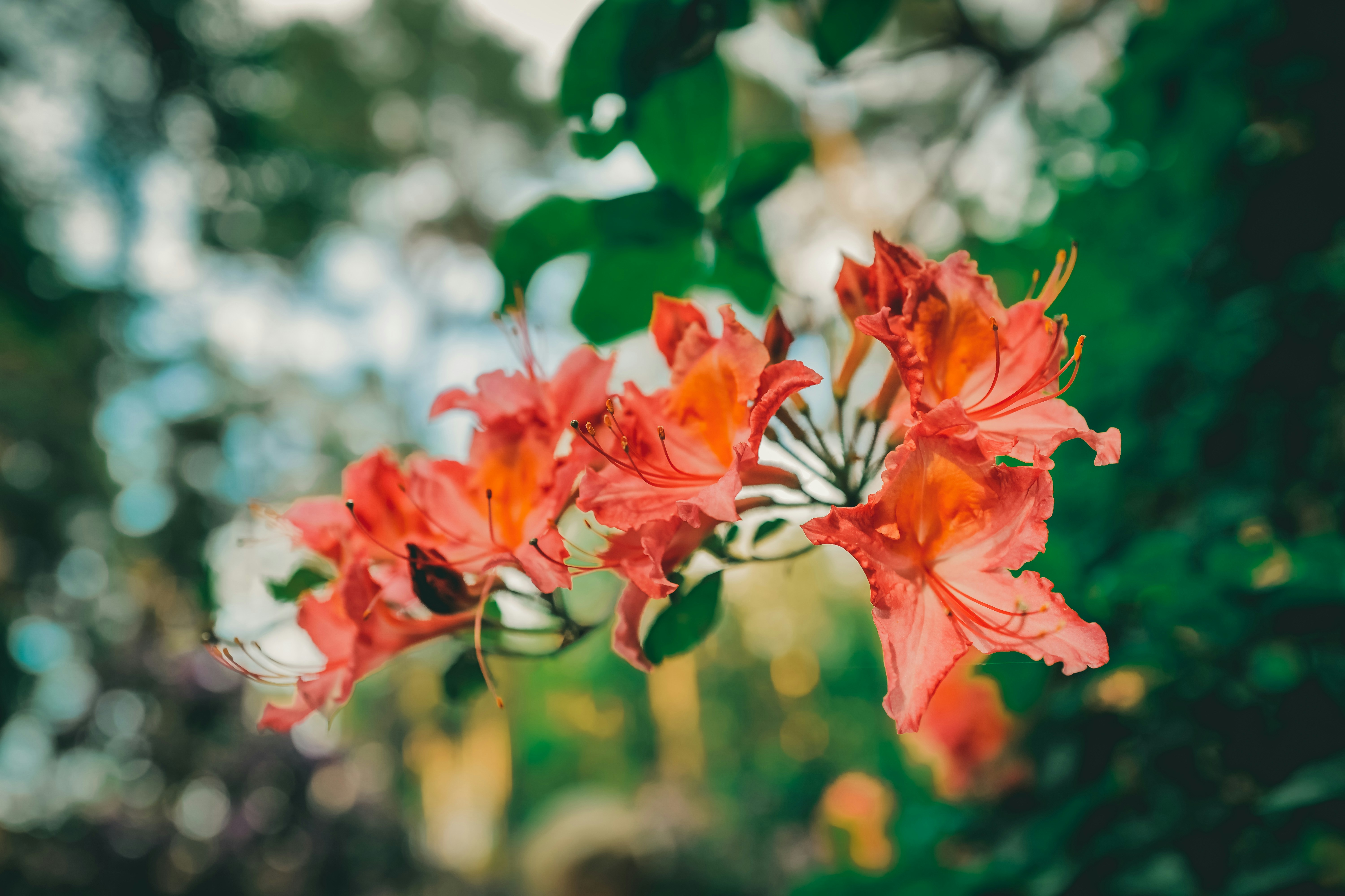 Photo by raimondklavins