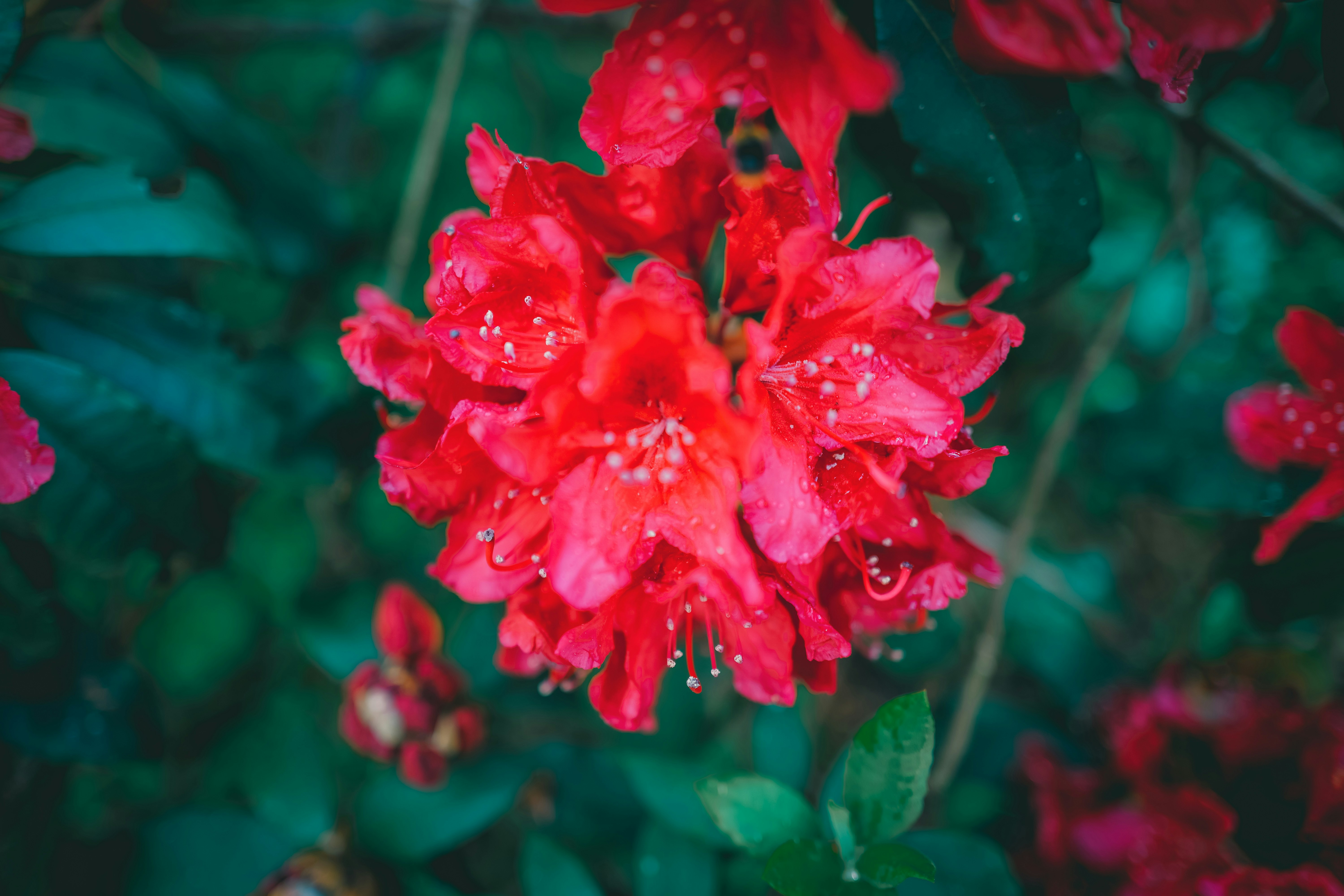 Photo by raimondklavins