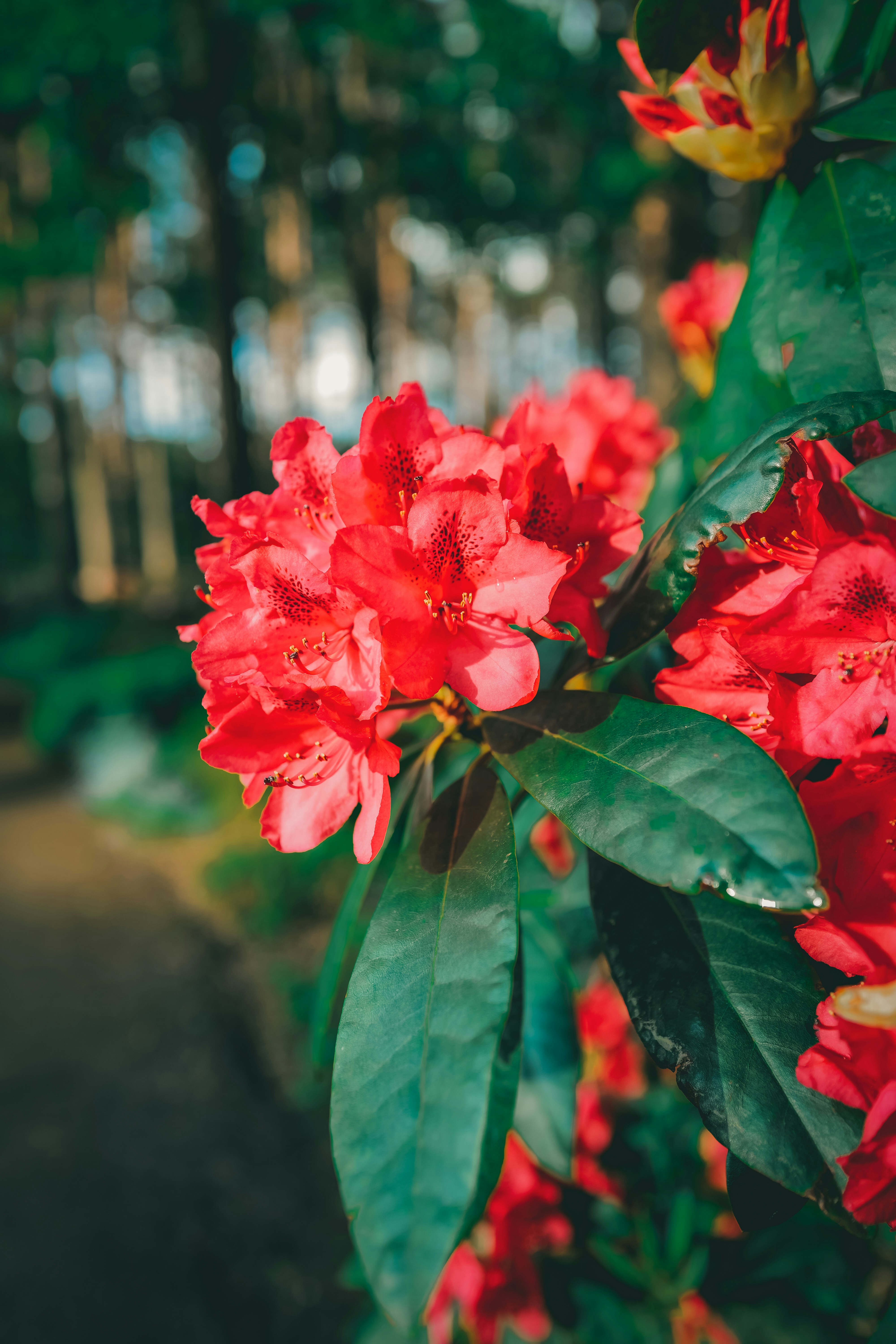 Photo by raimondklavins