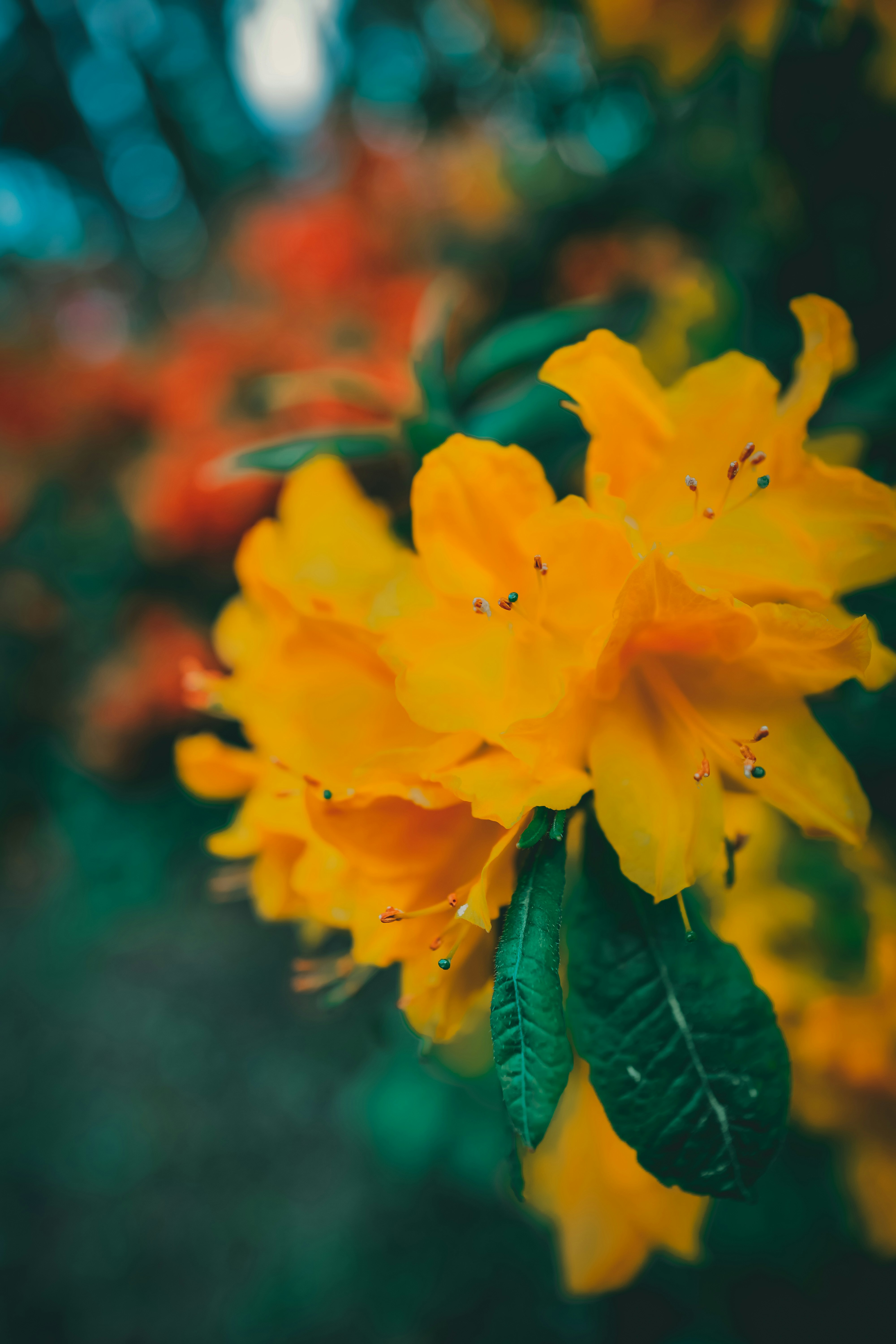 Photo by raimondklavins