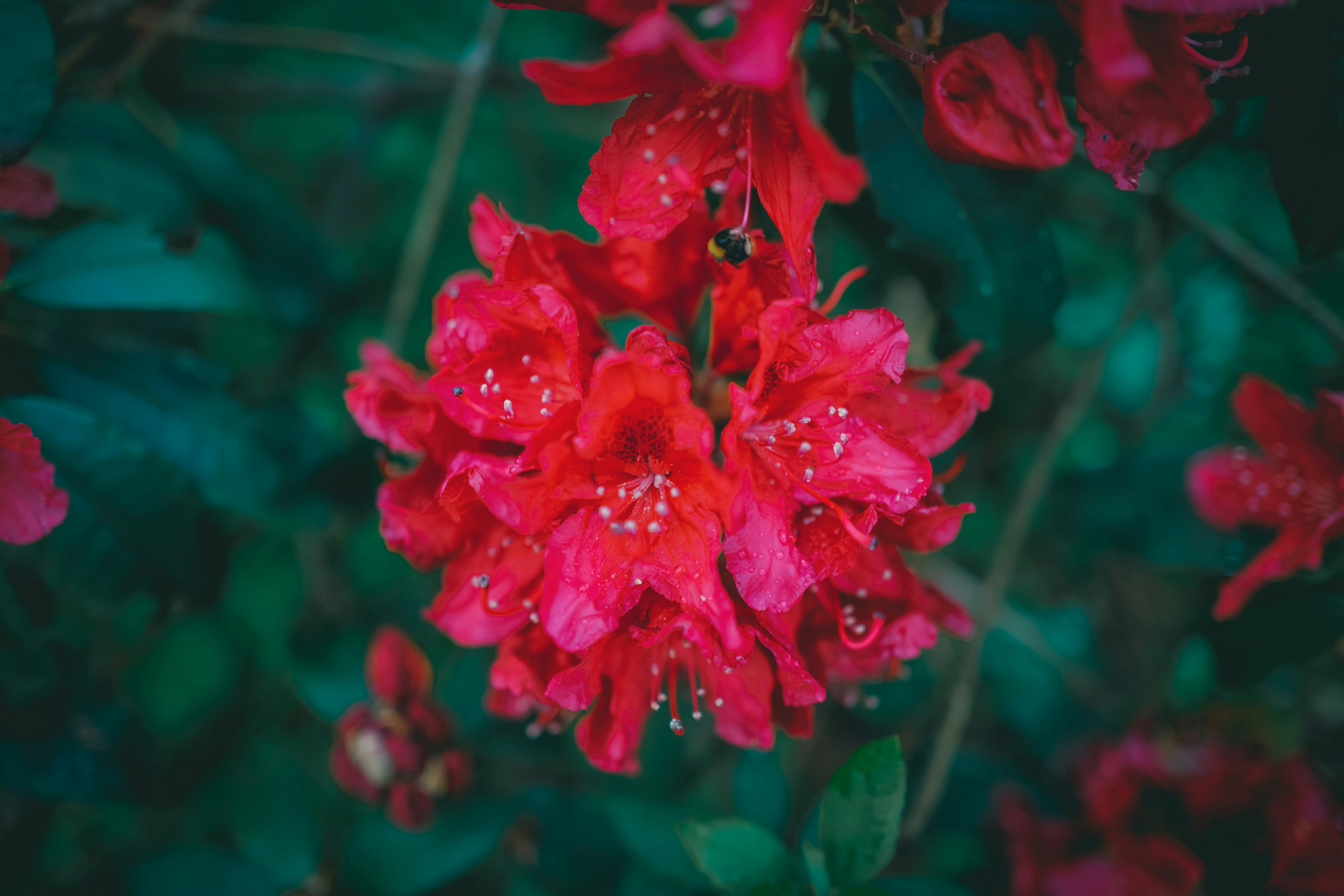 Photo by raimondklavins