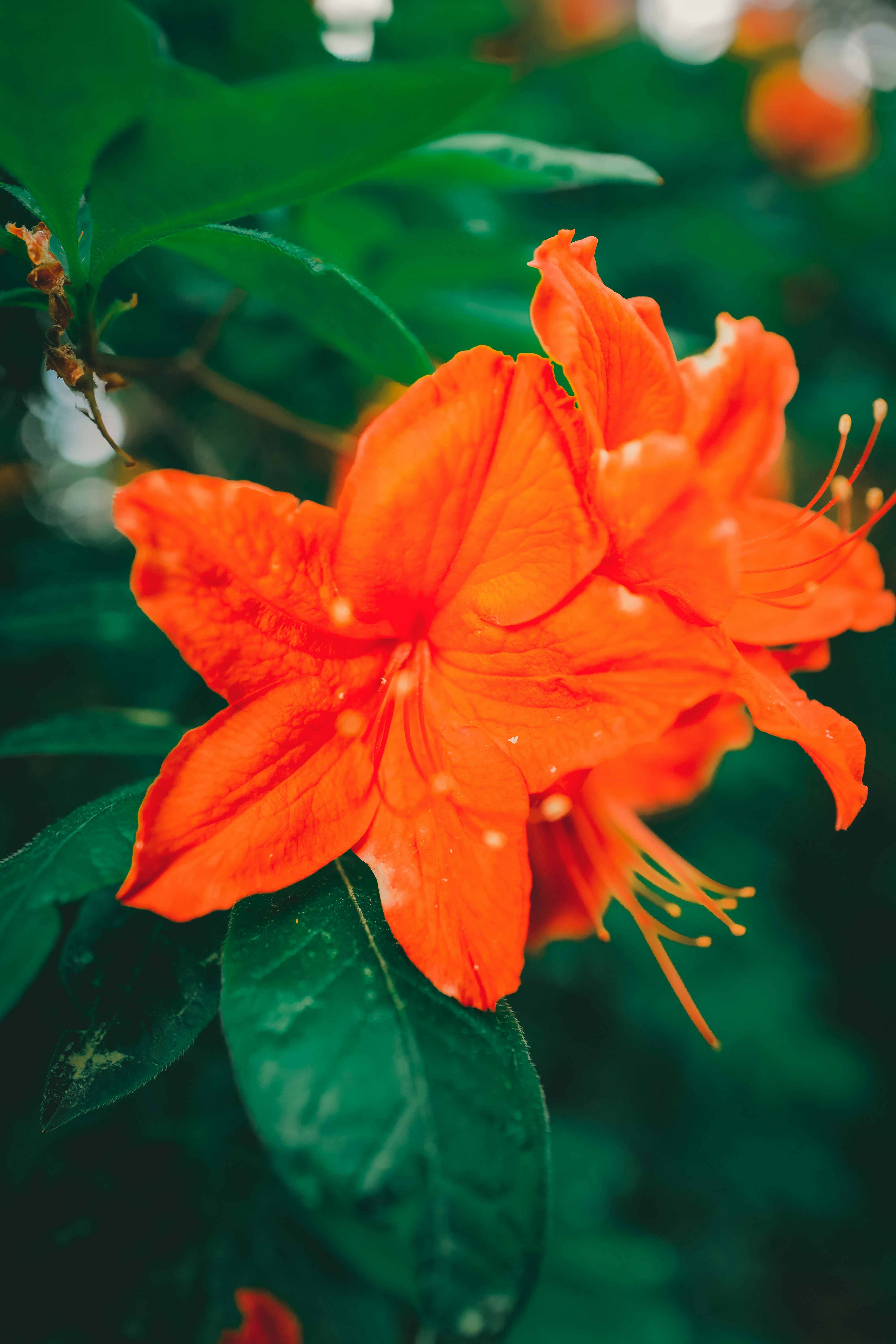 Photo by raimondklavins