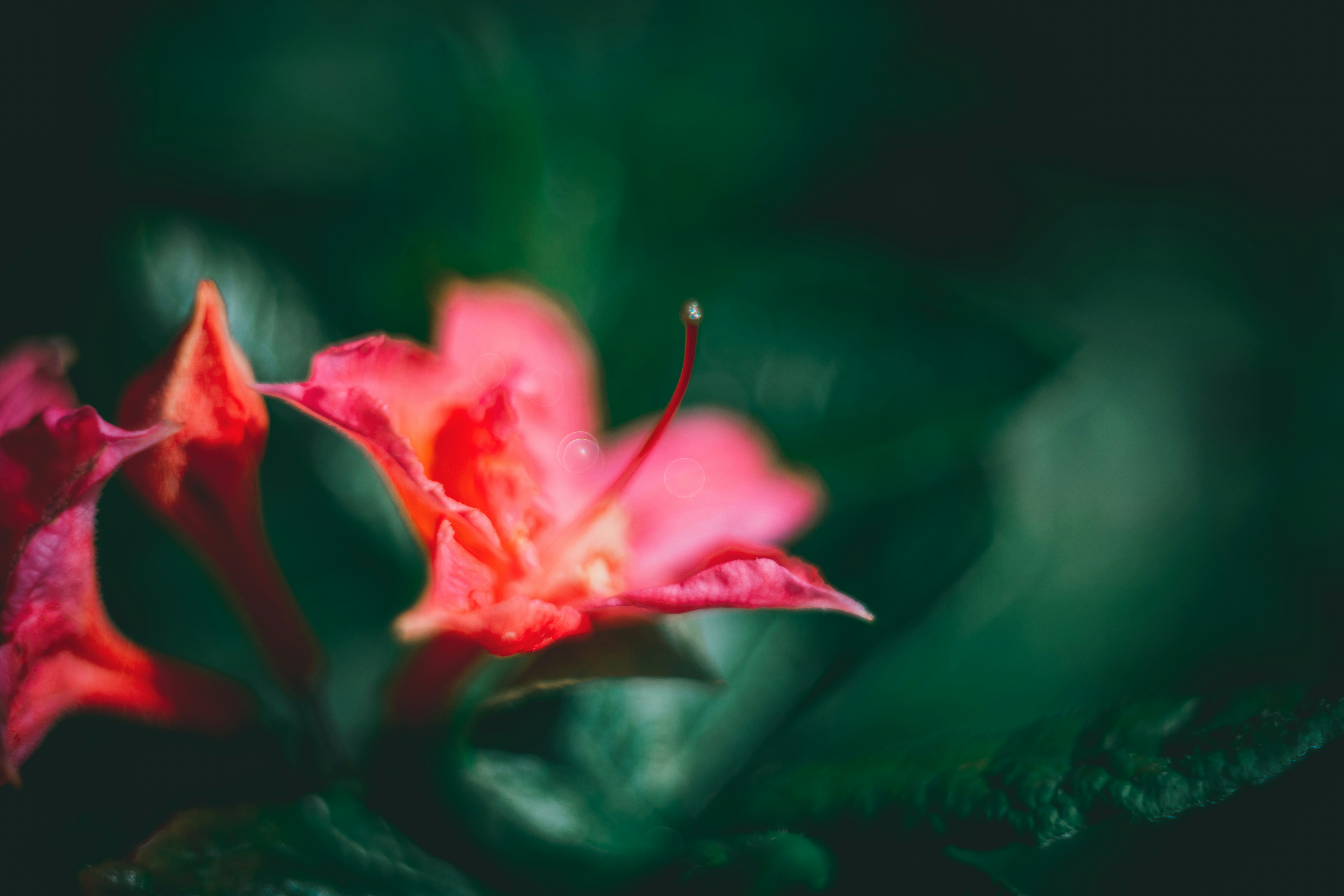 Photo by raimondklavins