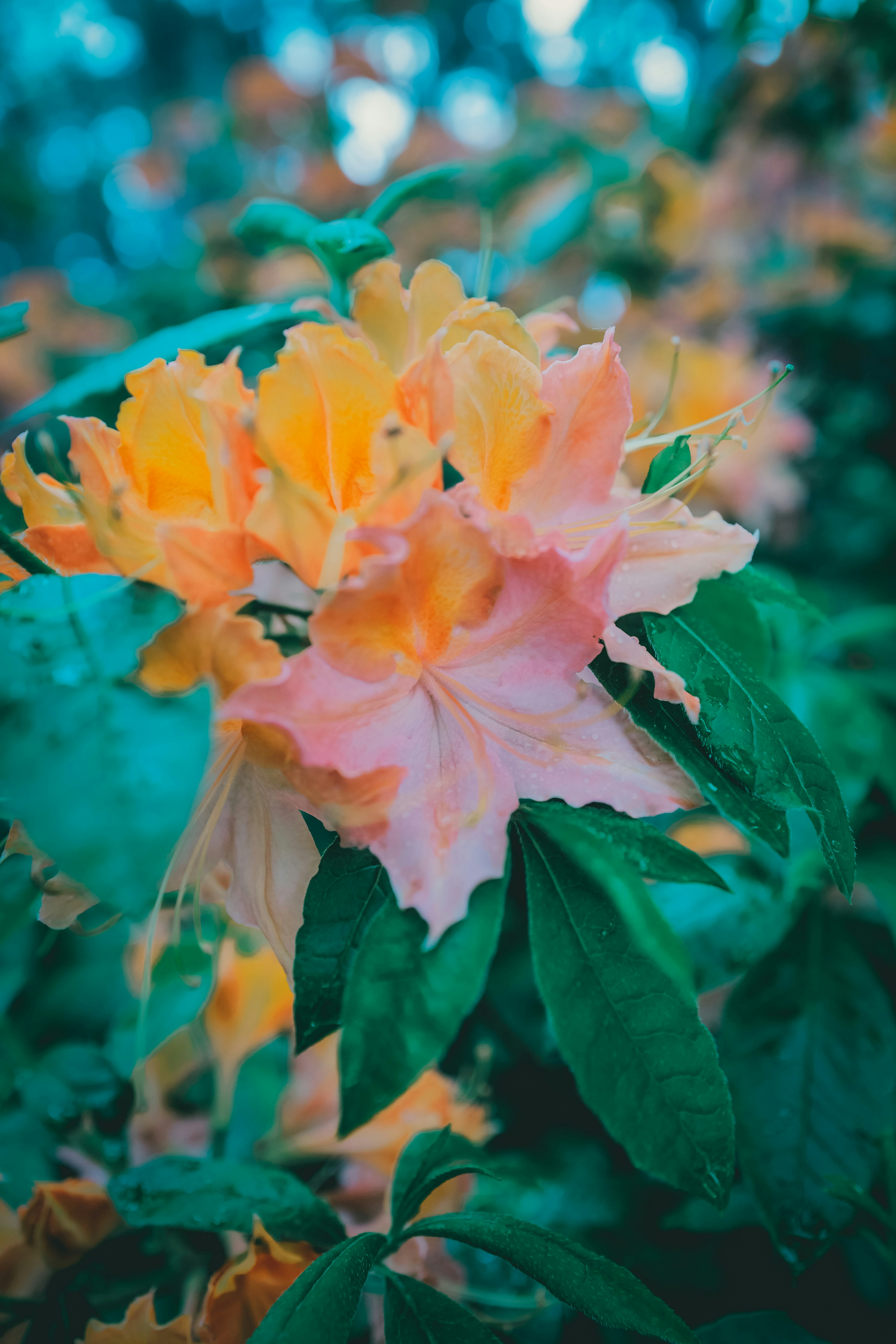 Photo by raimondklavins