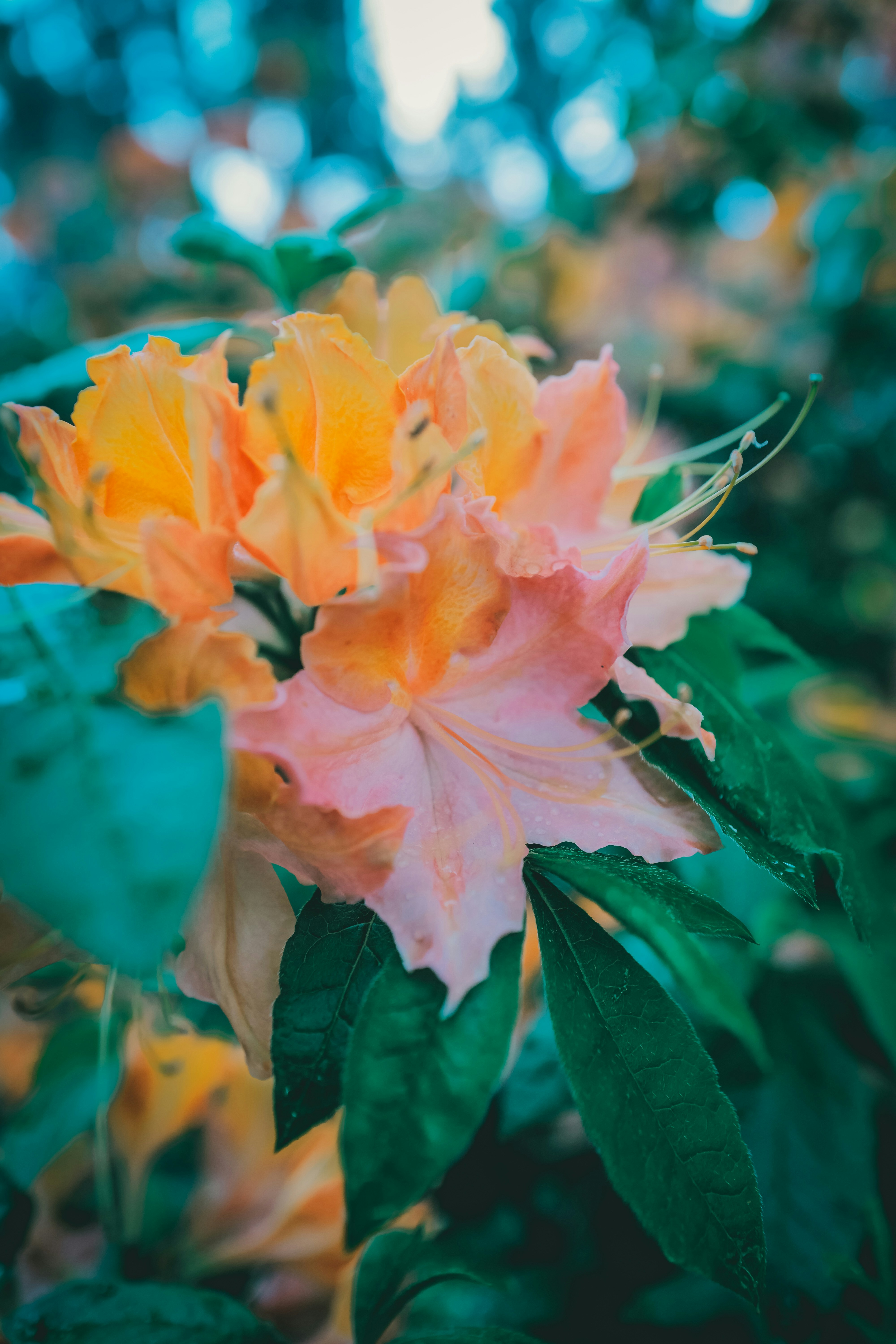 Photo by raimondklavins