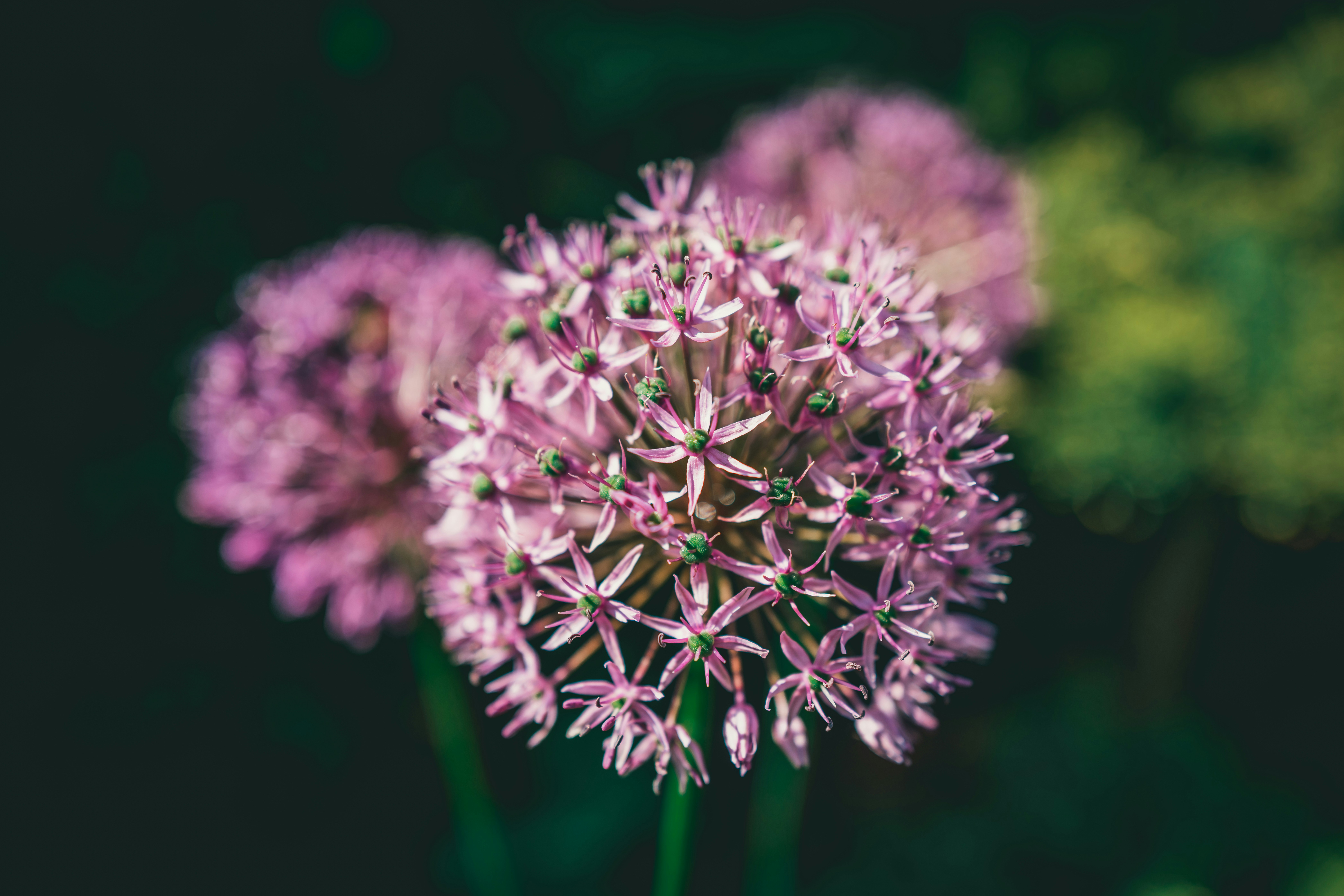 Photo by raimondklavins