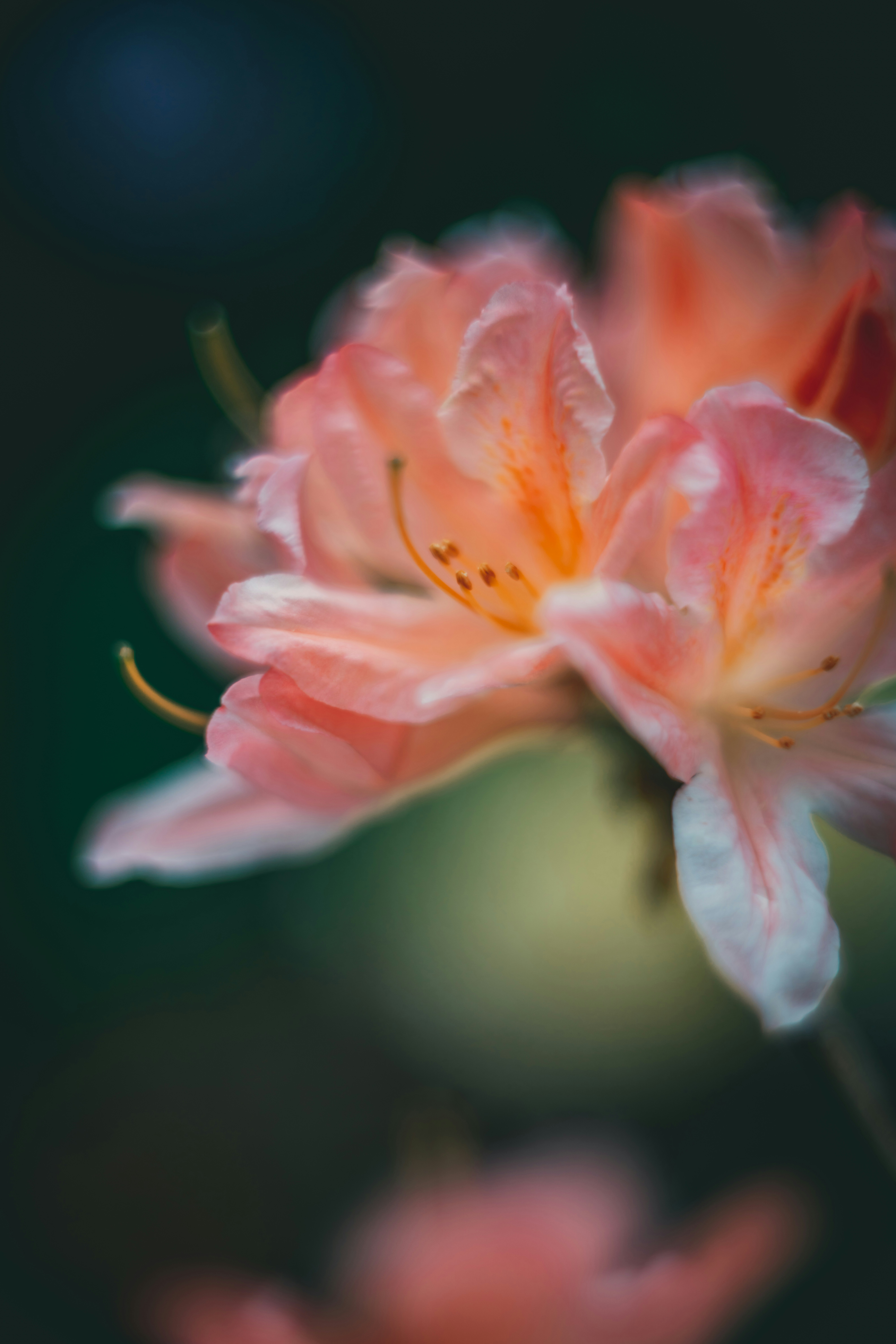 Photo by raimondklavins