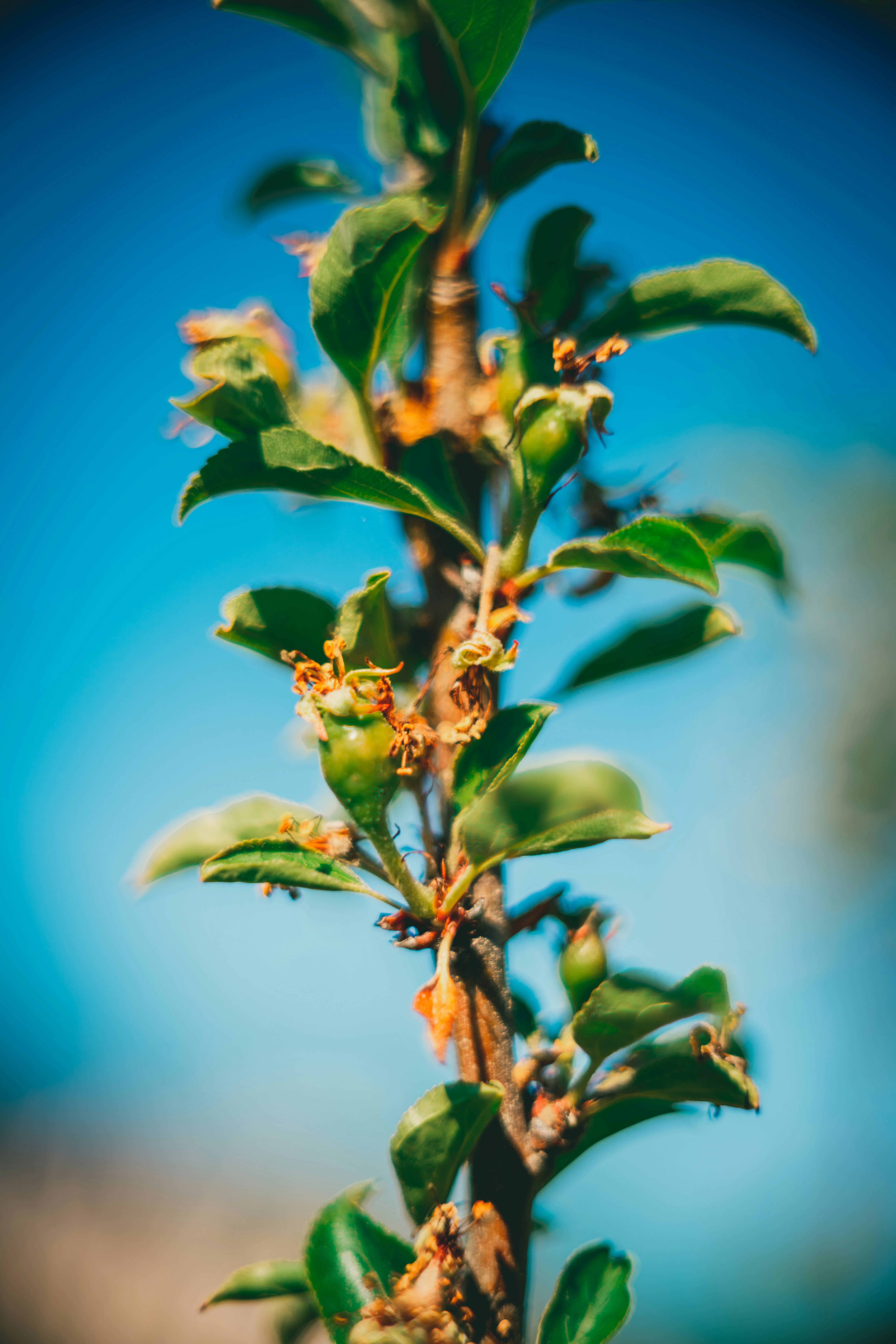 Photo by raimondklavins