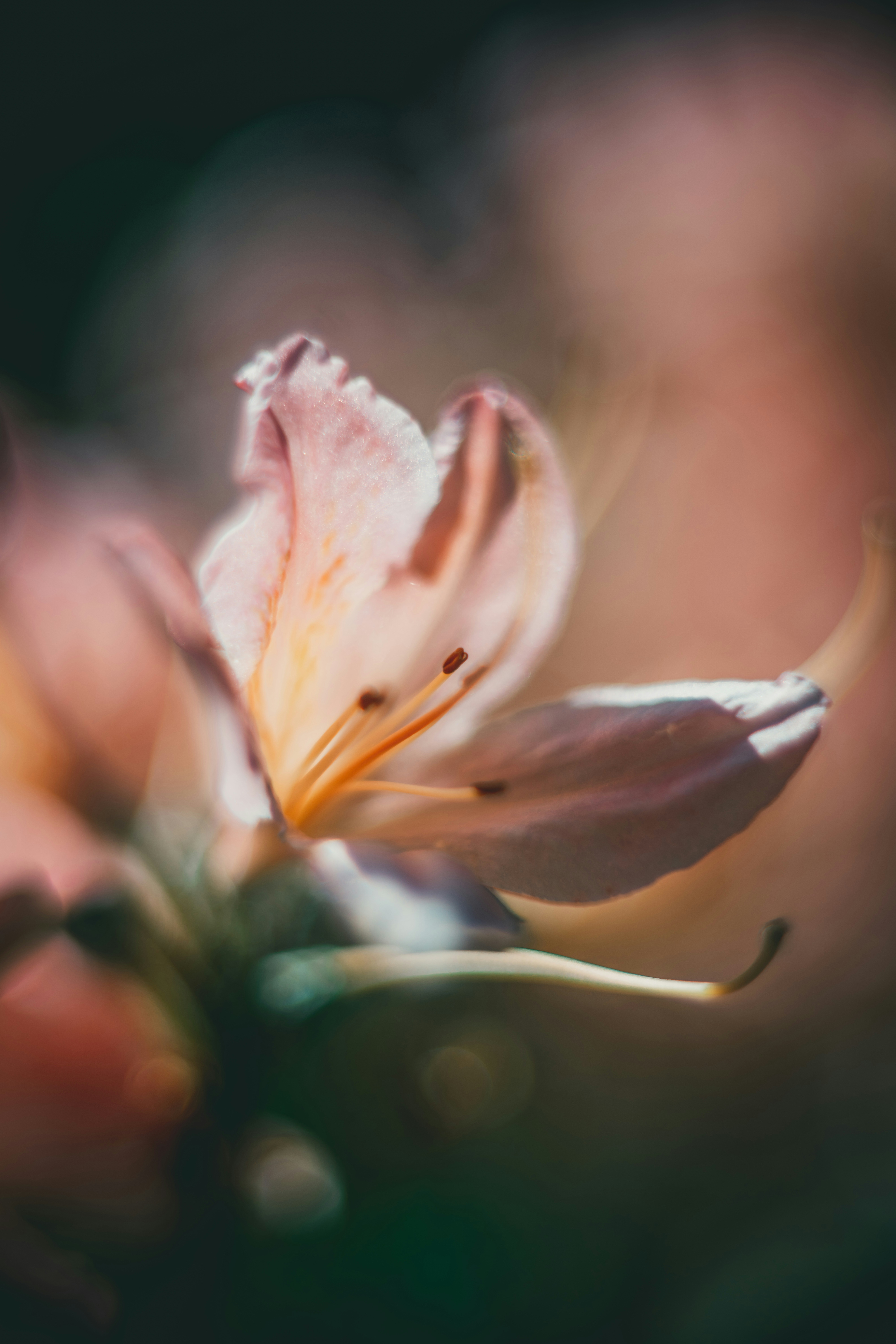 Photo by raimondklavins