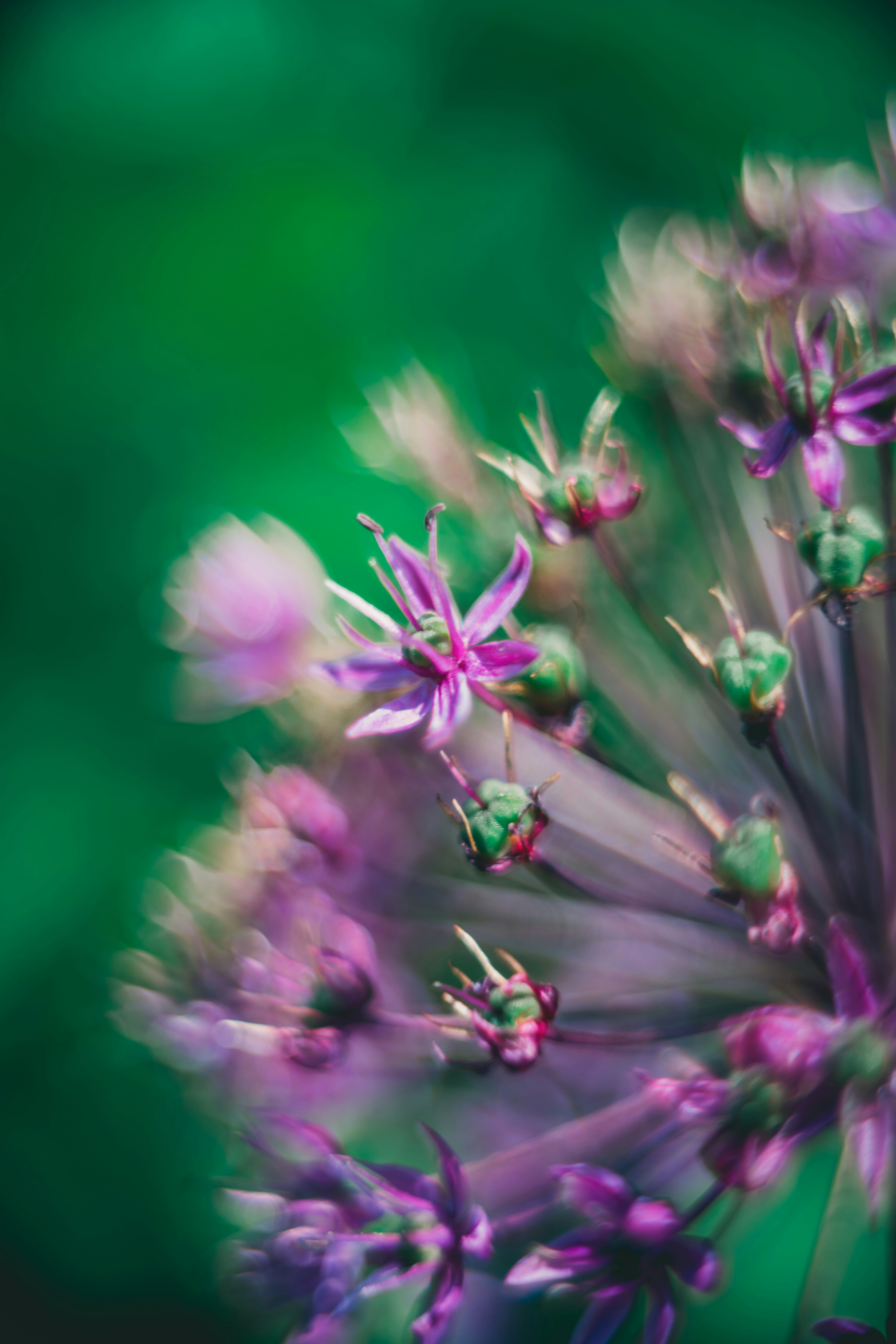 Photo by raimondklavins