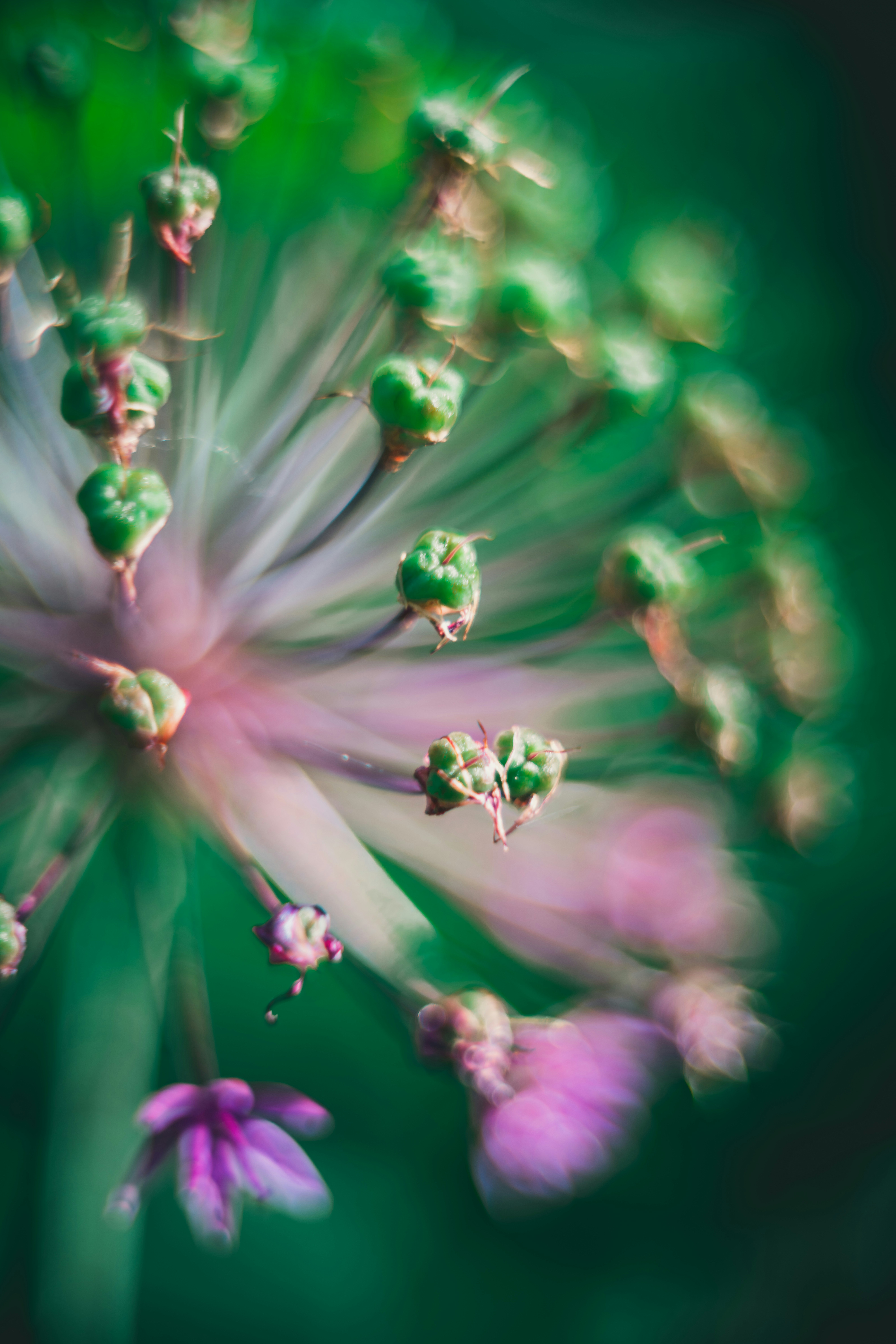 Photo by raimondklavins