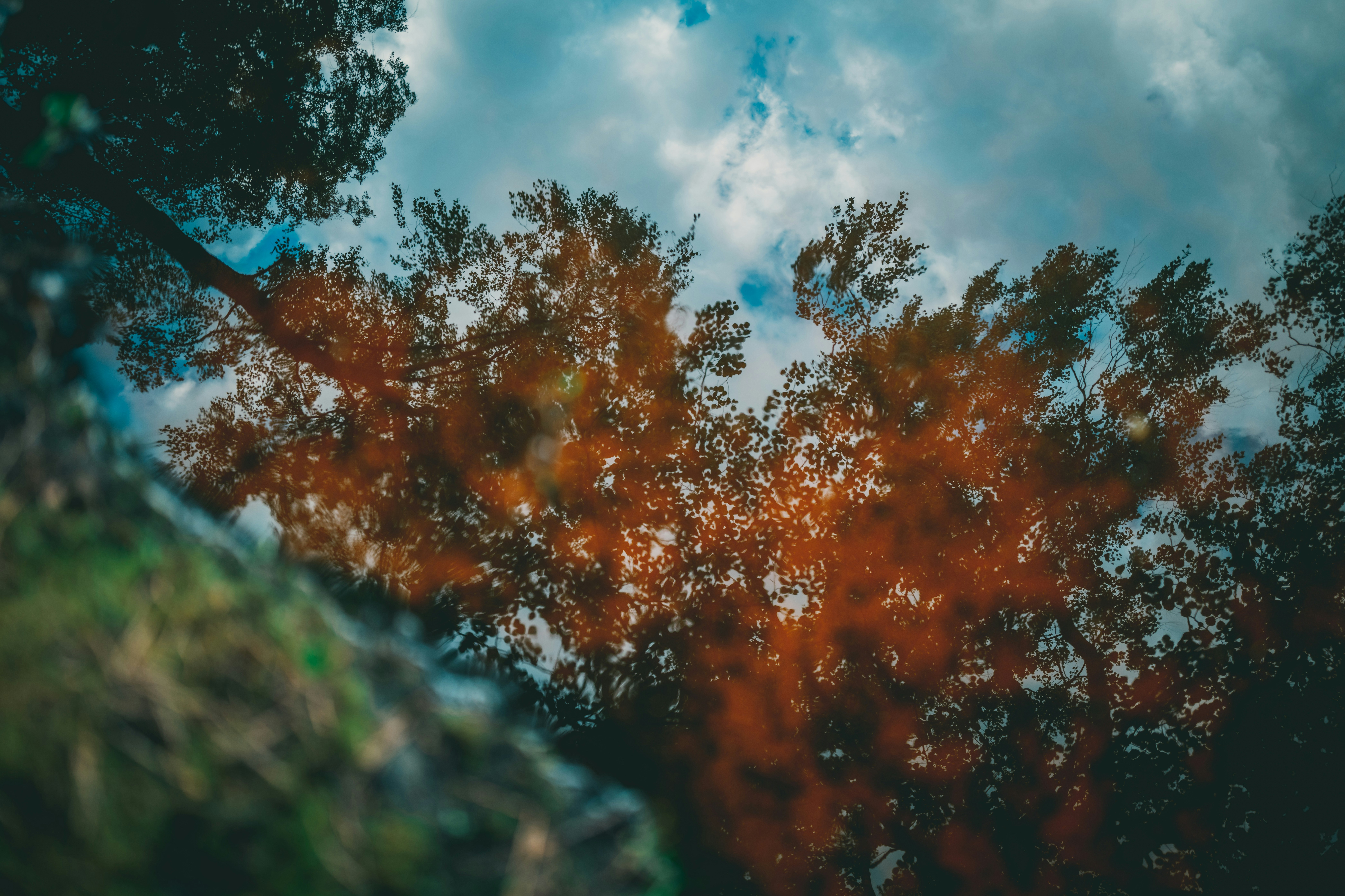 Photo by raimondklavins