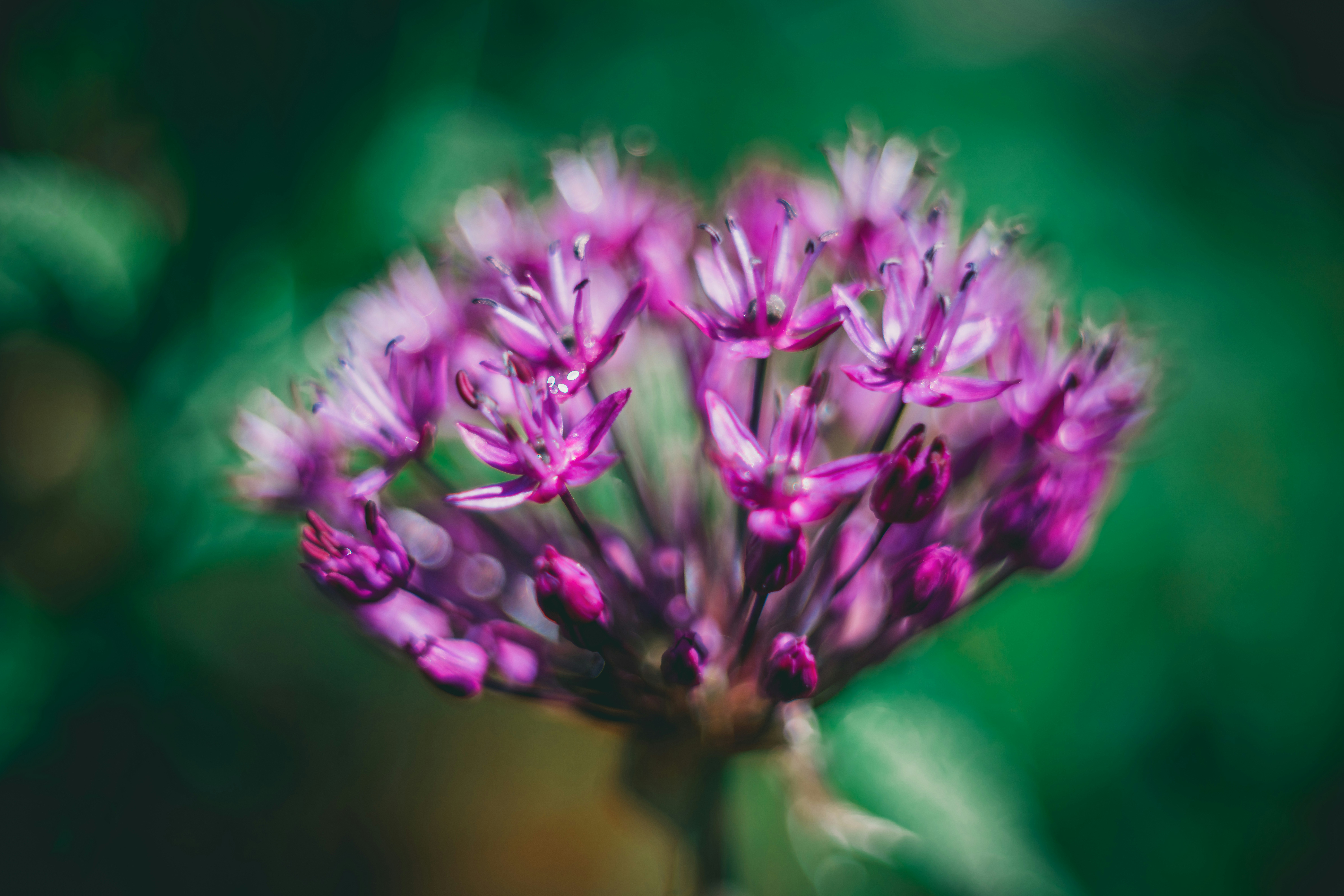 Photo by raimondklavins