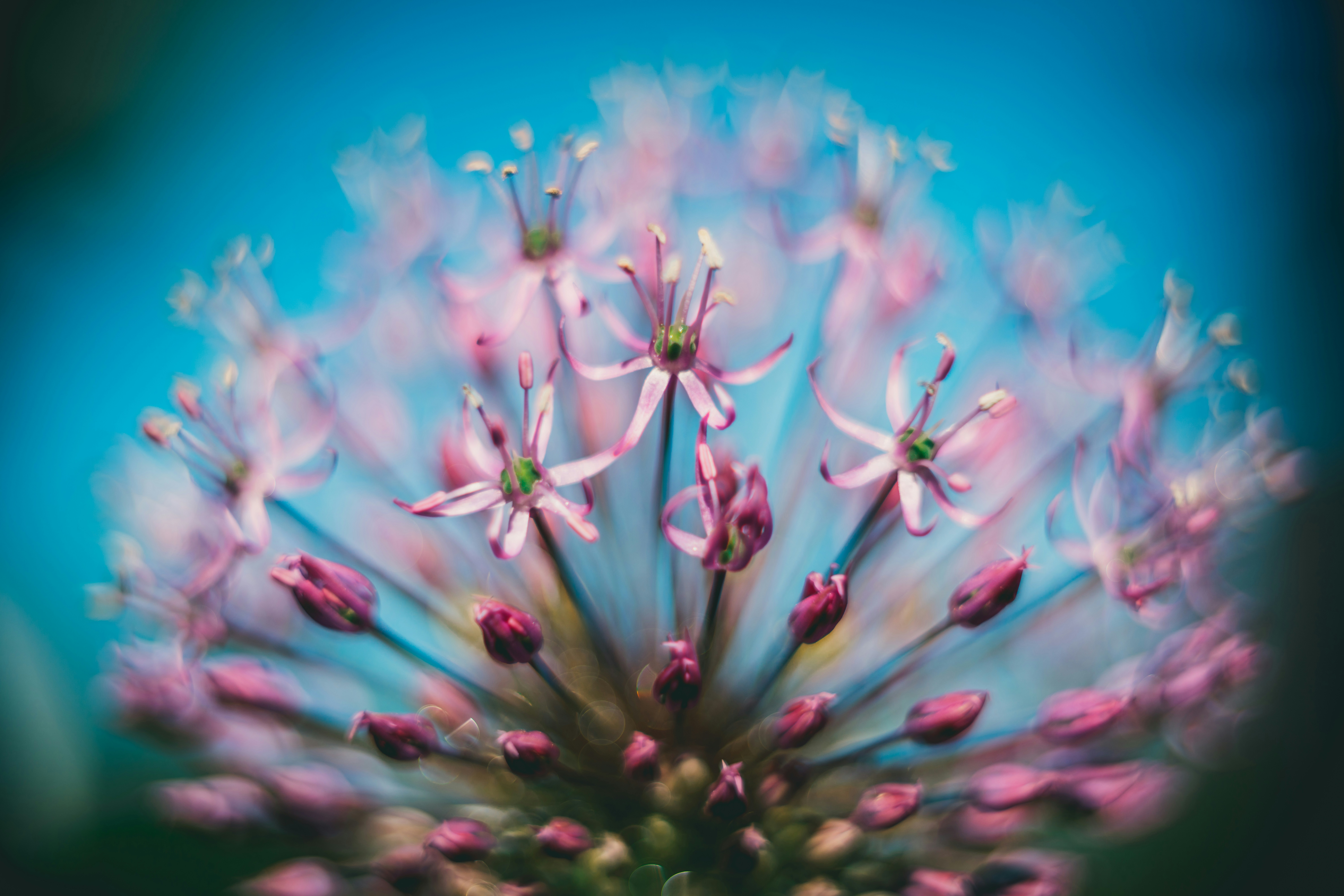 Photo by raimondklavins