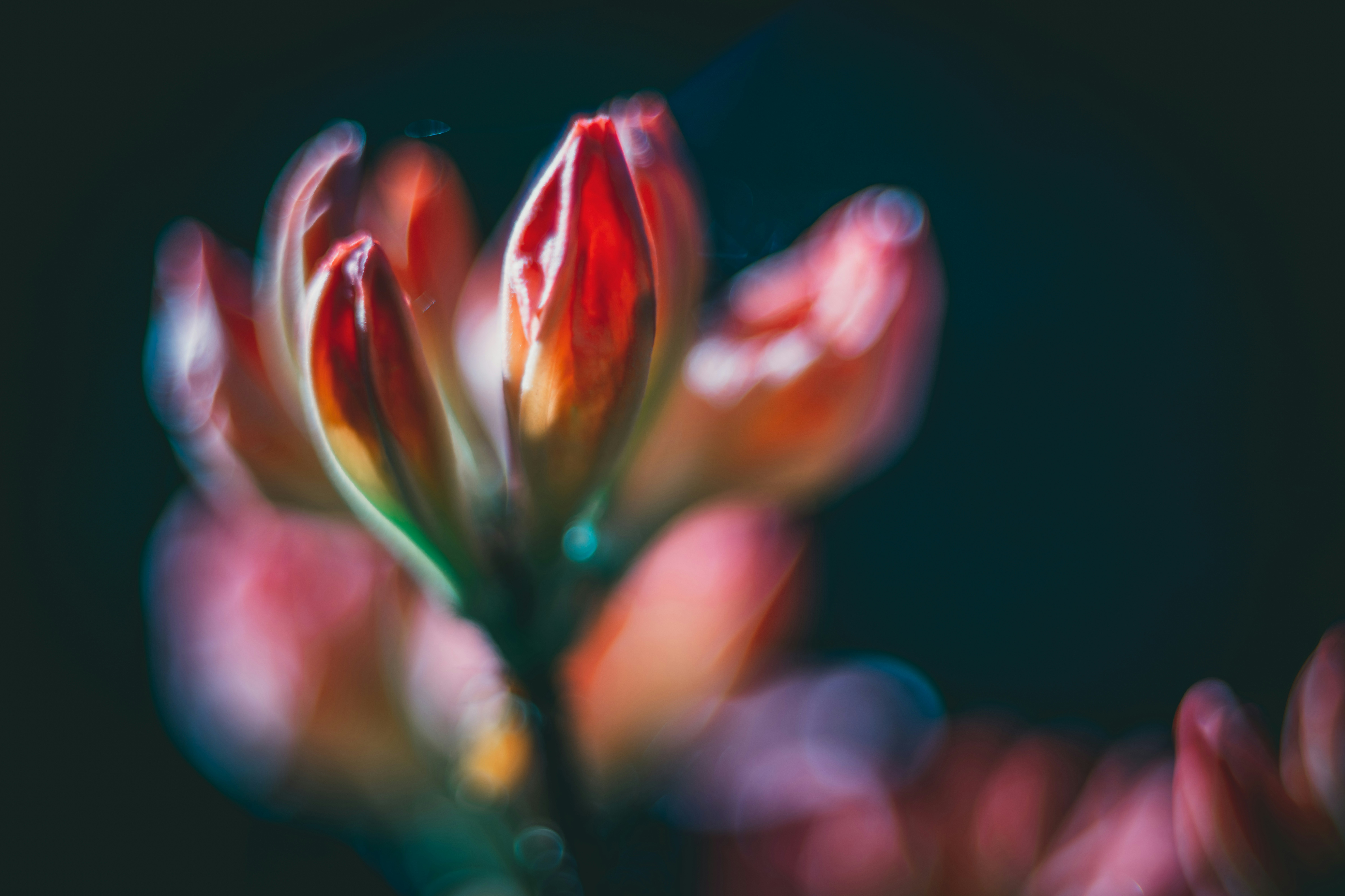 Photo by raimondklavins