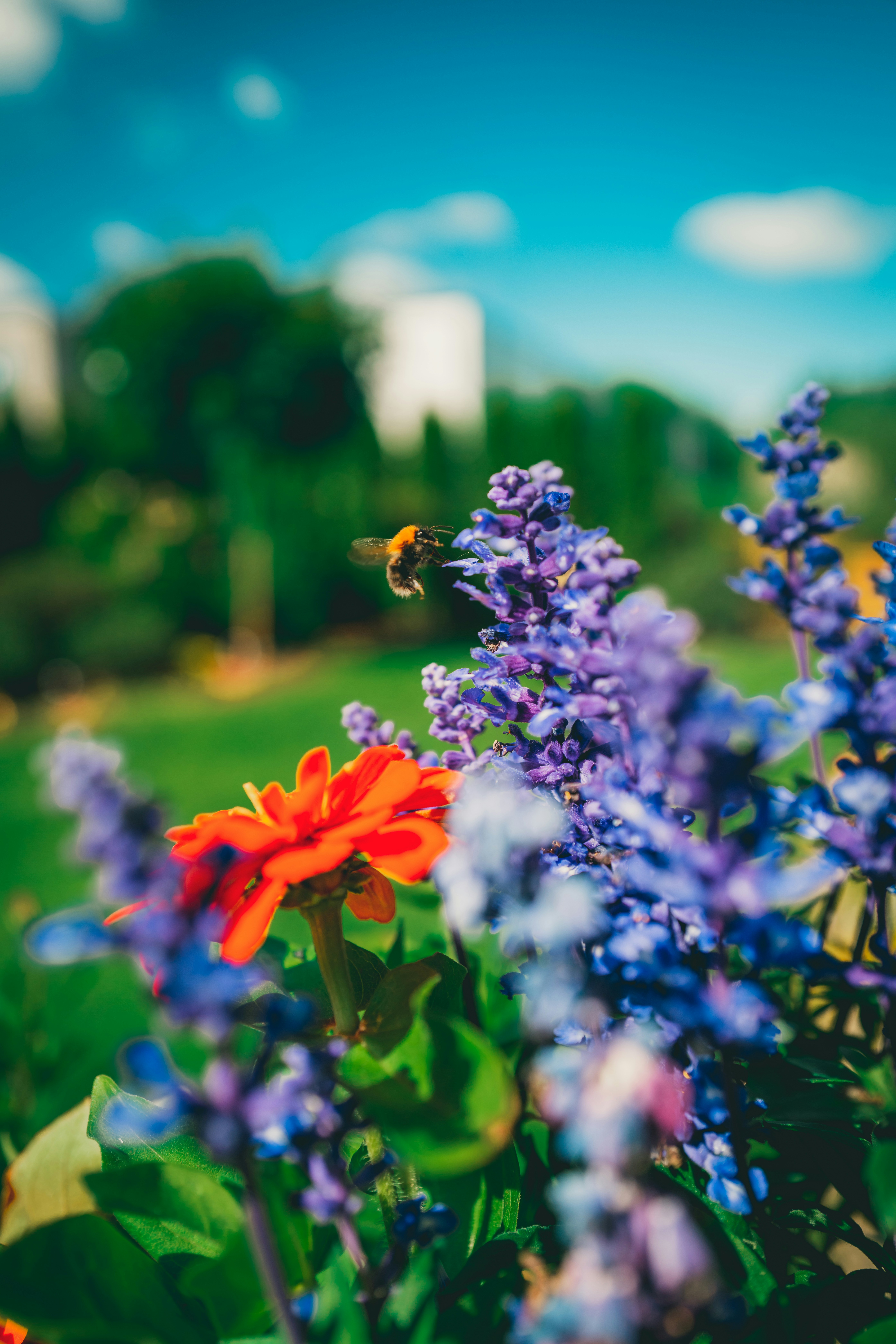 Photo by raimondklavins