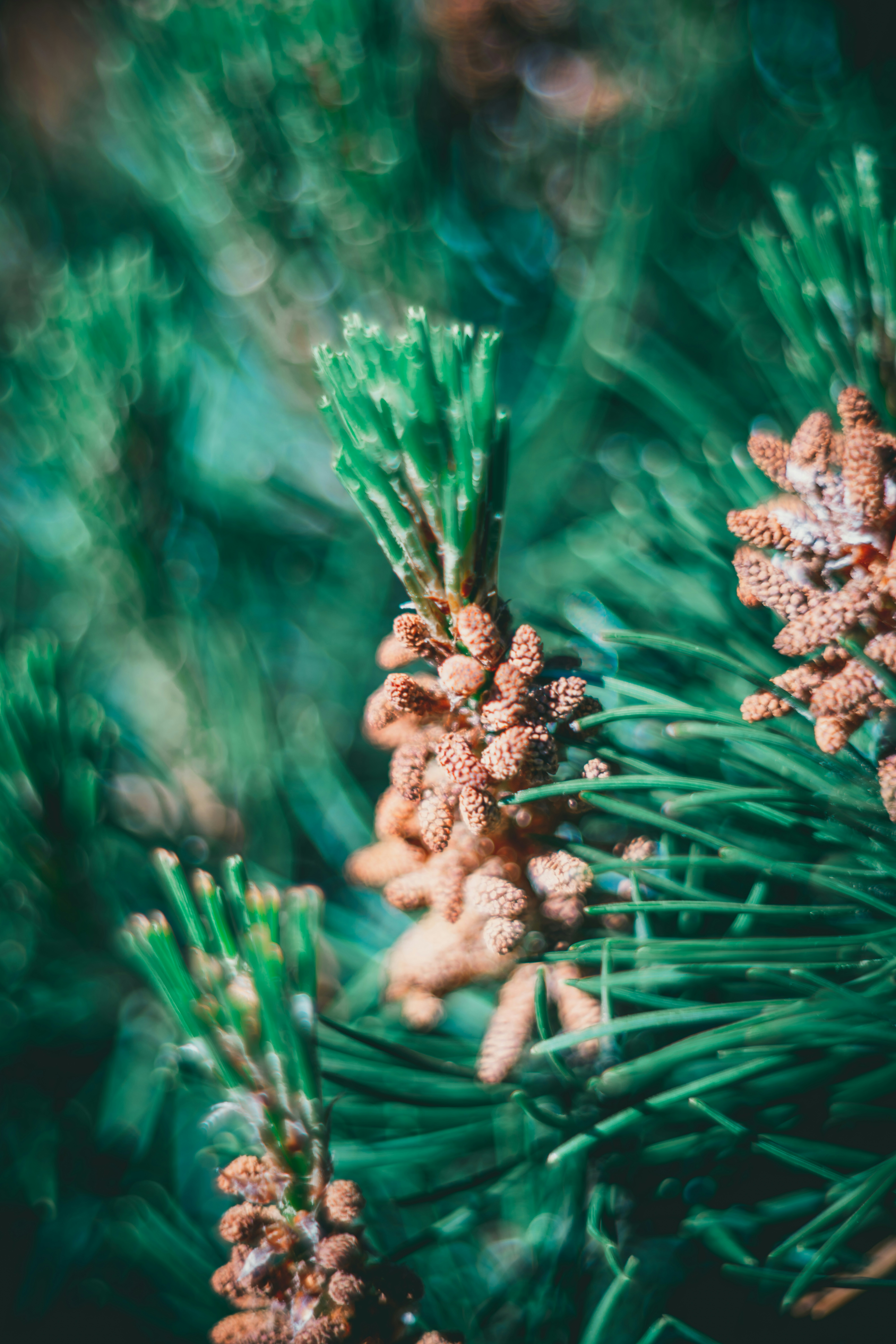 Photo by raimondklavins