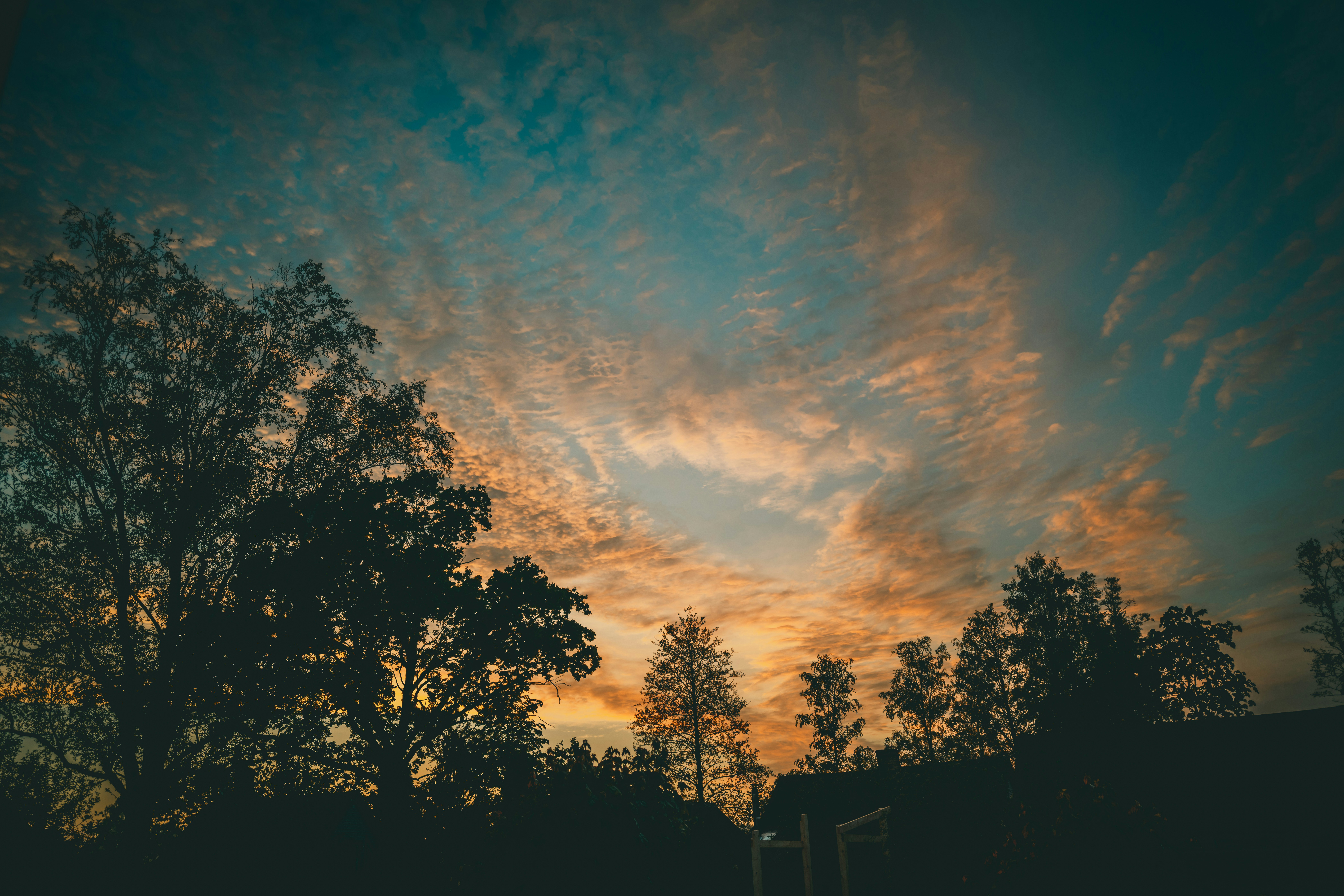 Photo by raimondklavins