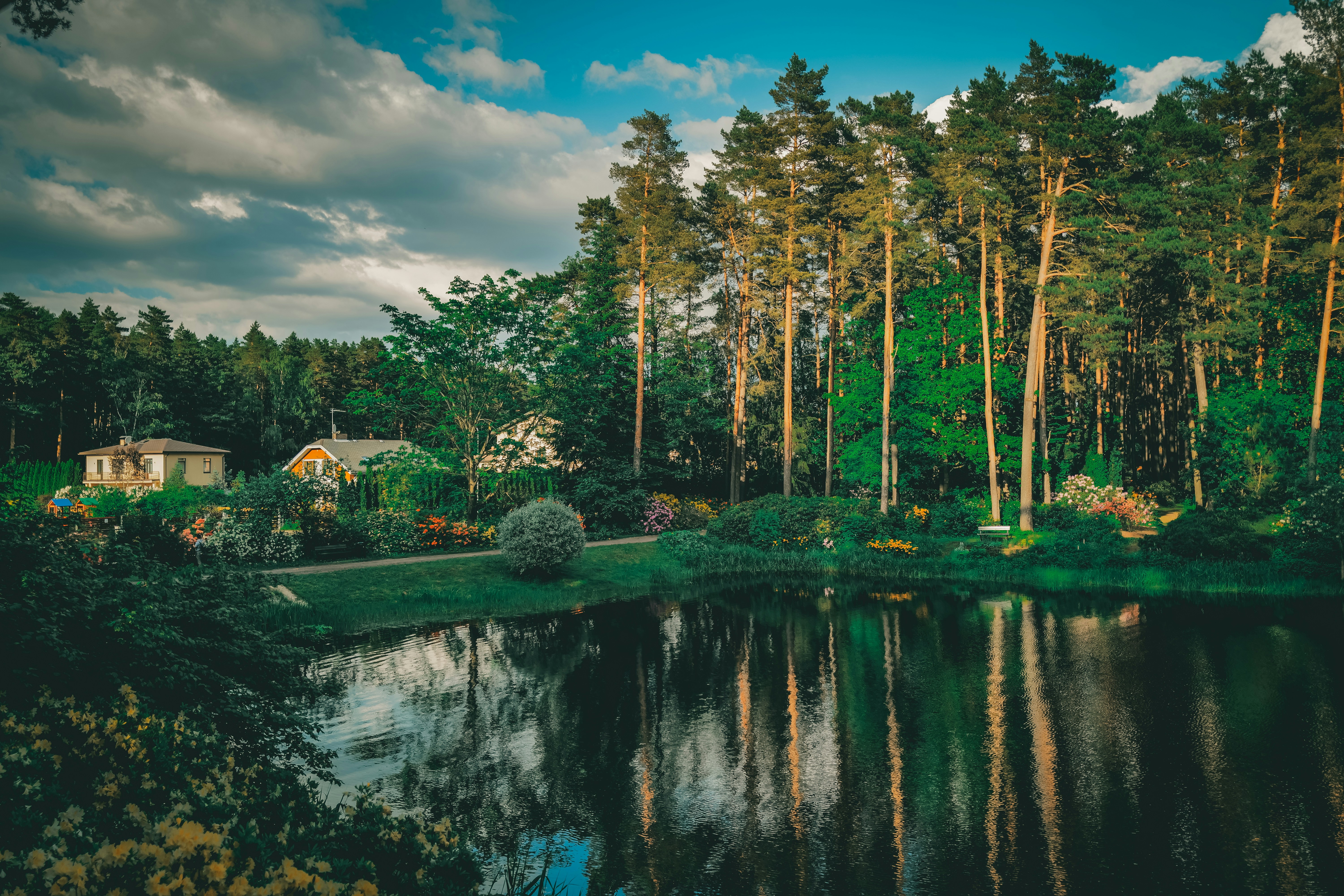 Photo by raimondklavins